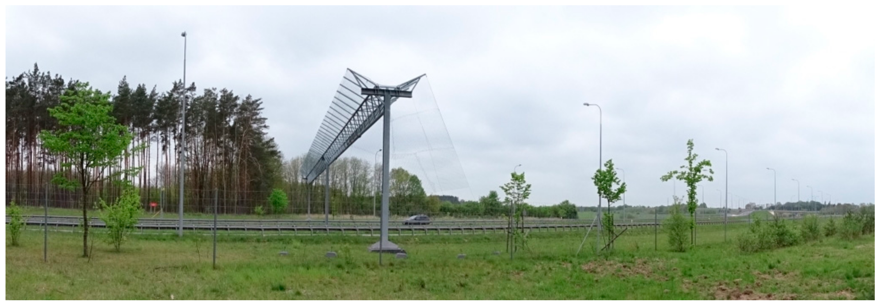 Symmetry 11 01022 g004