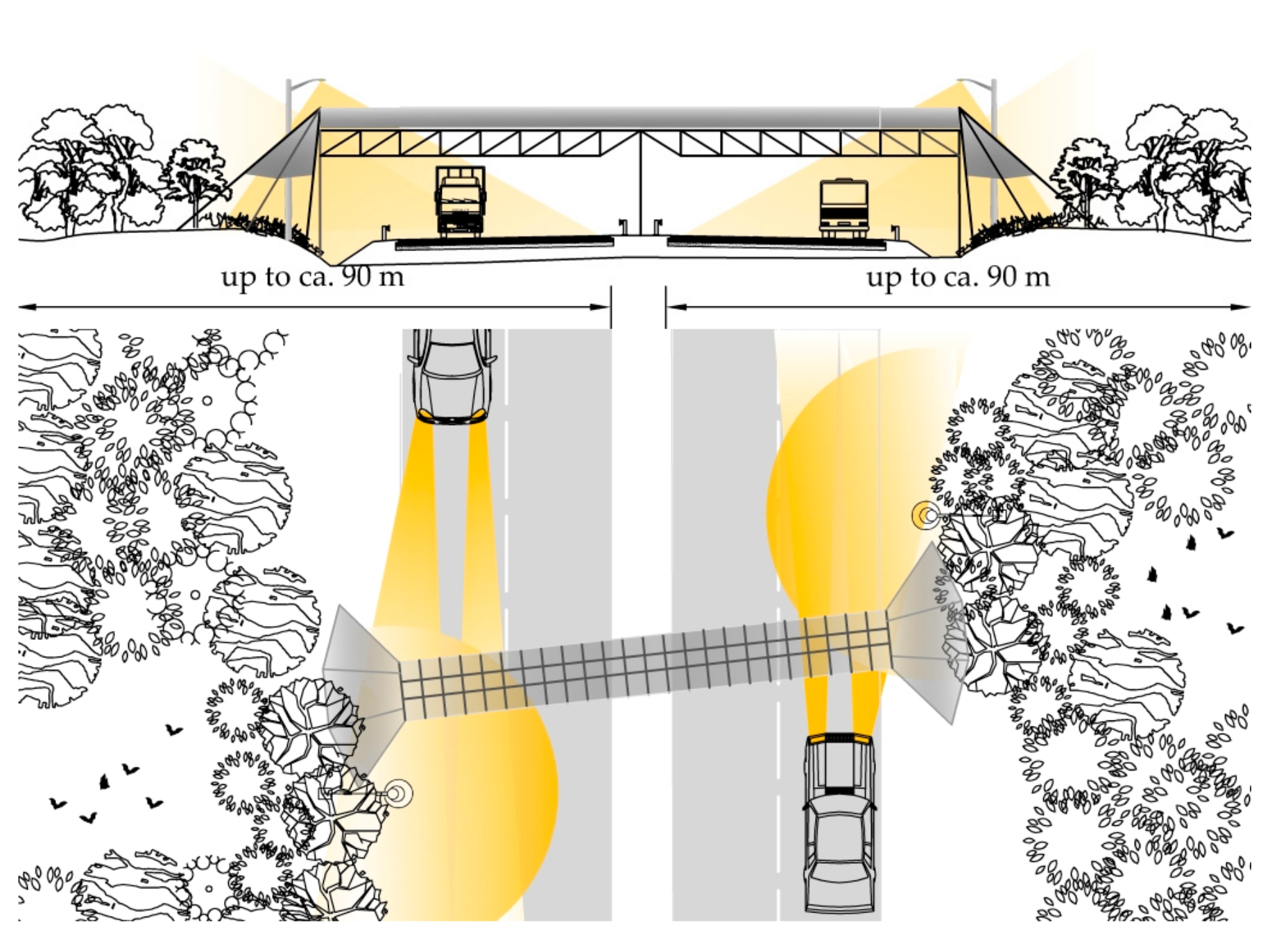 Symmetry 11 01022 g015