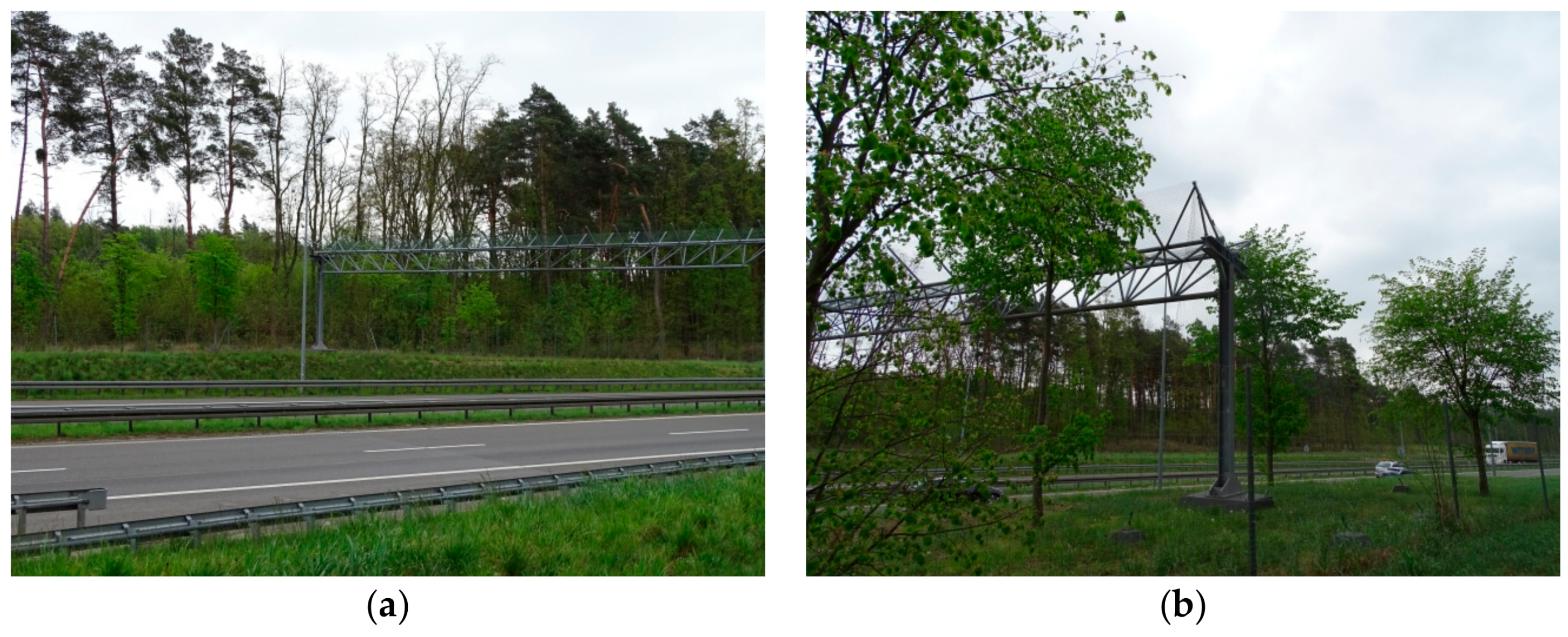 Symmetry 11 01022 g018