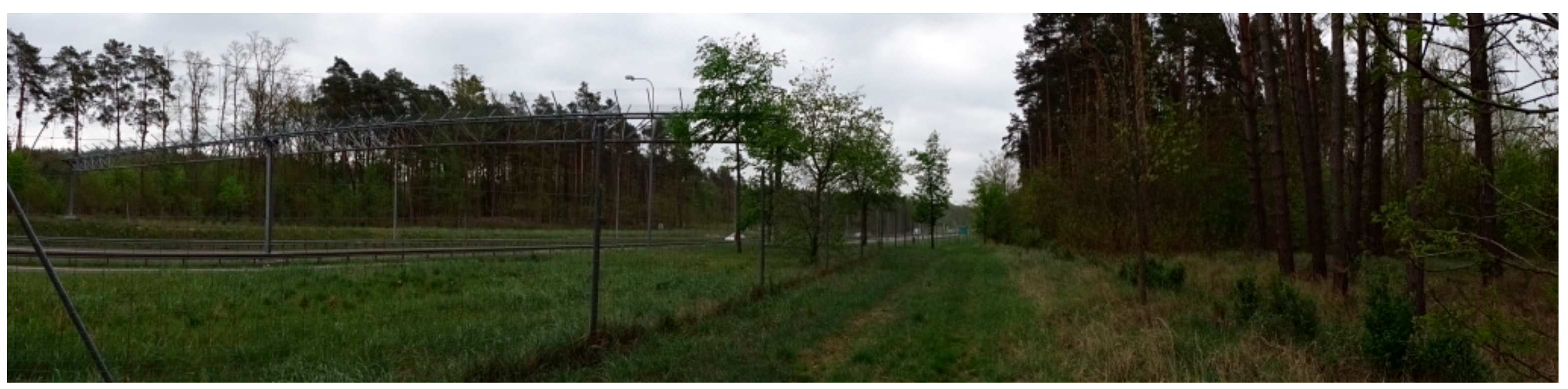 Symmetry 11 01022 g019