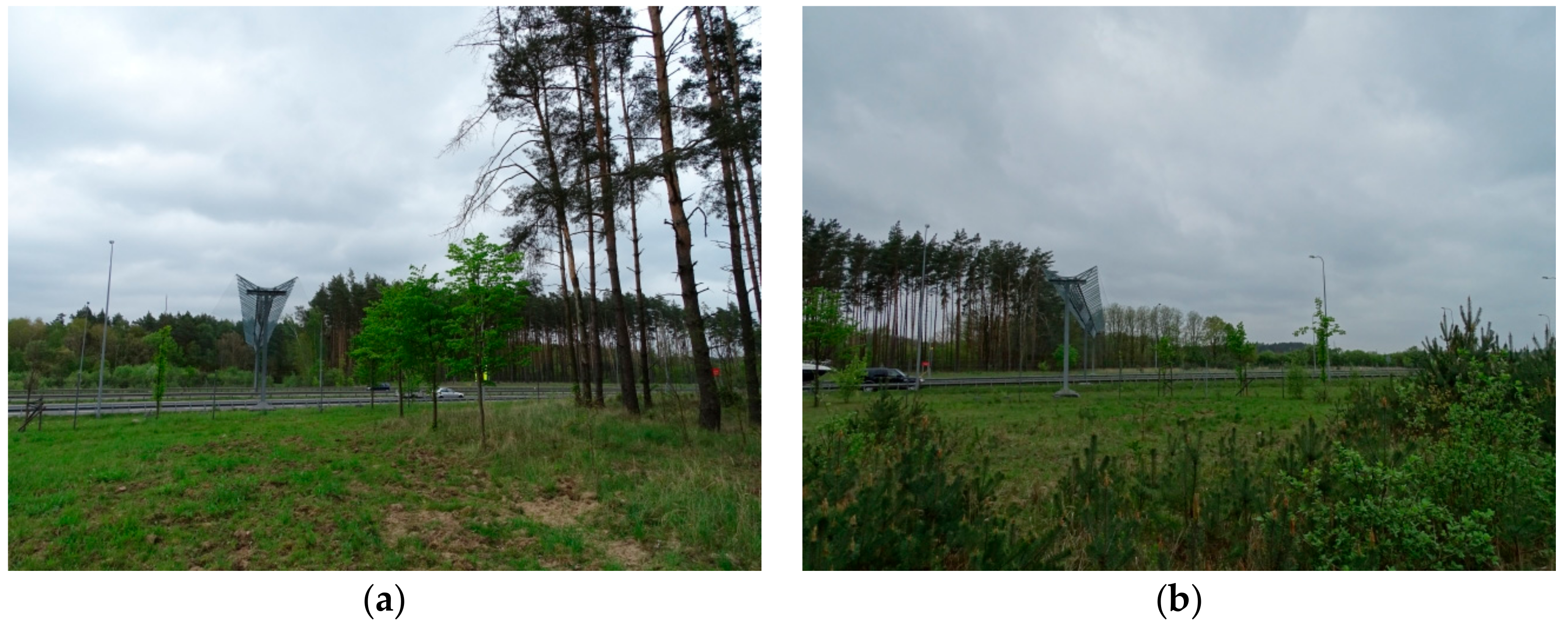 Symmetry 11 01022 g021