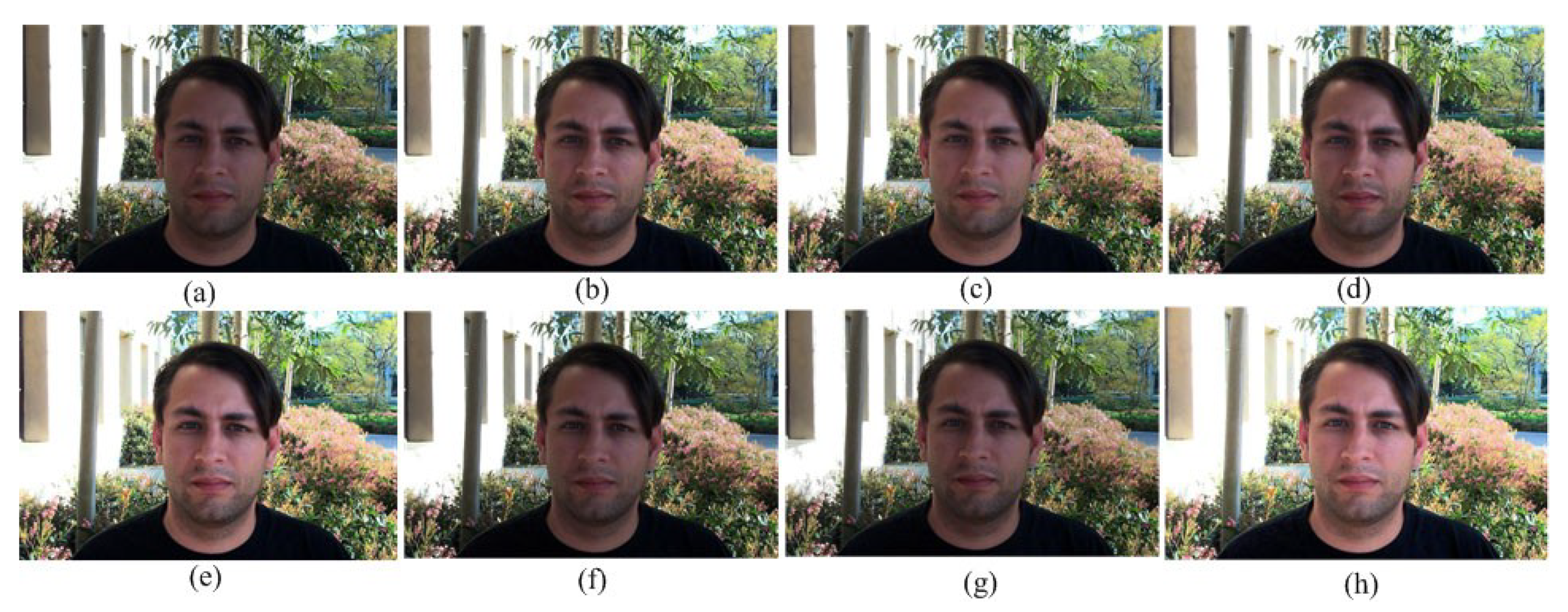 Symmetry 11 01062 g009