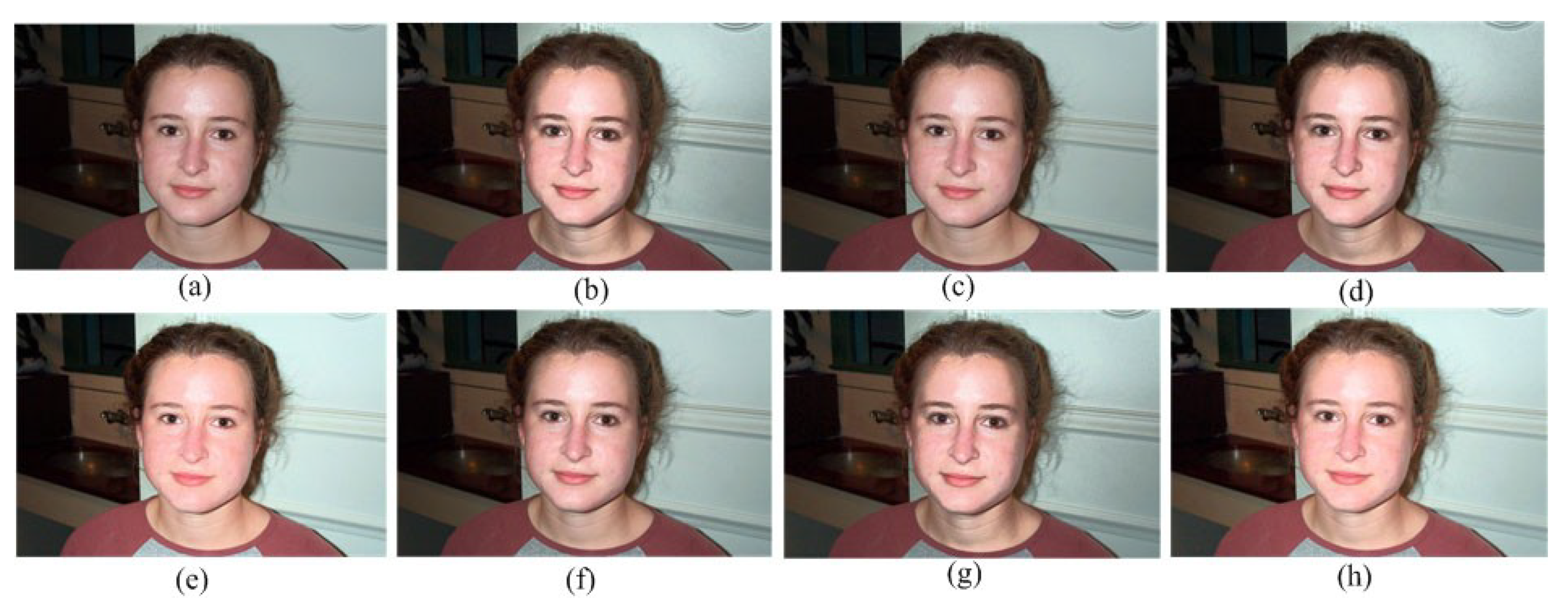 Symmetry 11 01062 g010