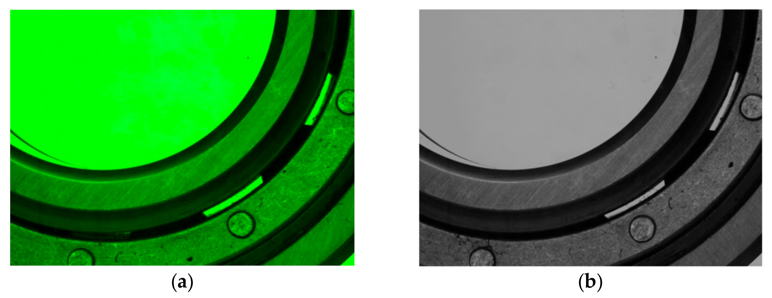 Symmetry 11 01069 g007