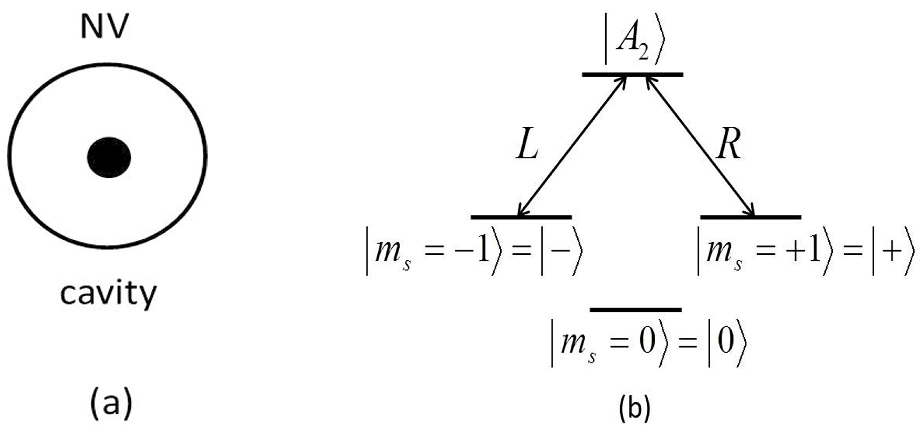Symmetry 11 01079 g001