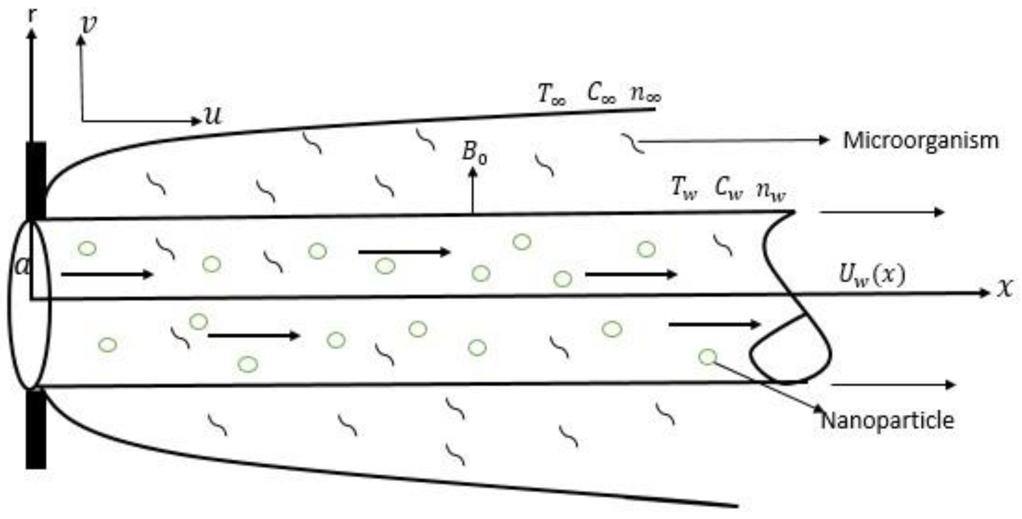Symmetry 11 01131 g001