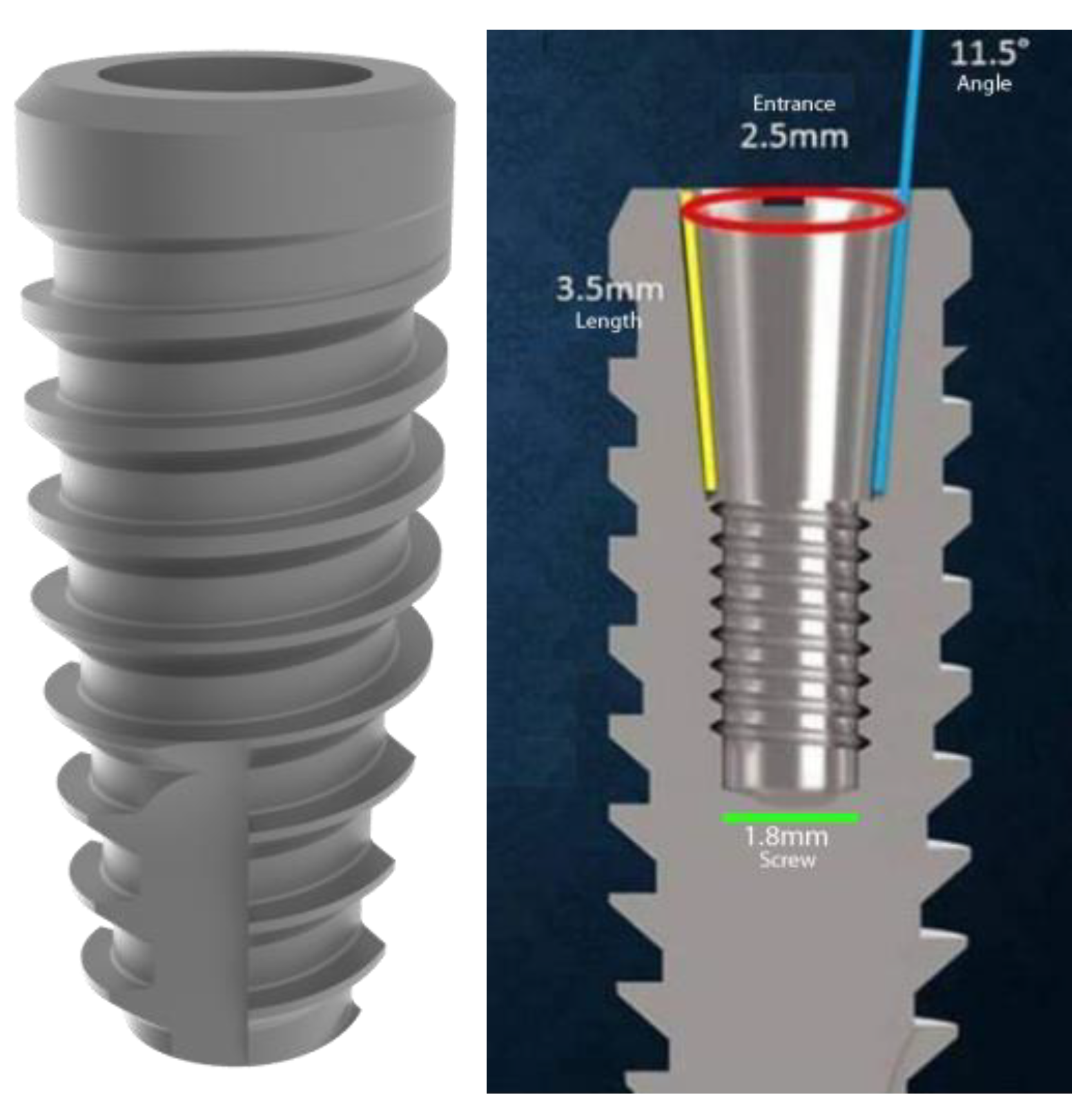 Symmetry 11 01138 g001