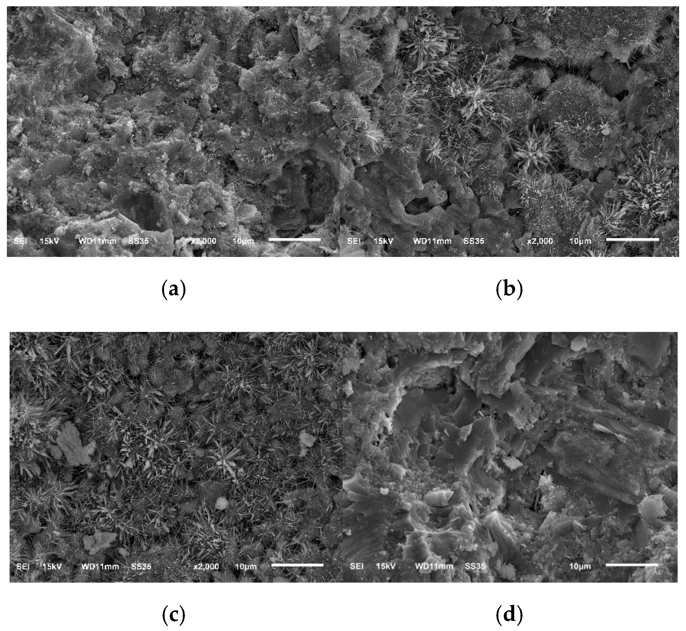 Symmetry 11 01144 g007