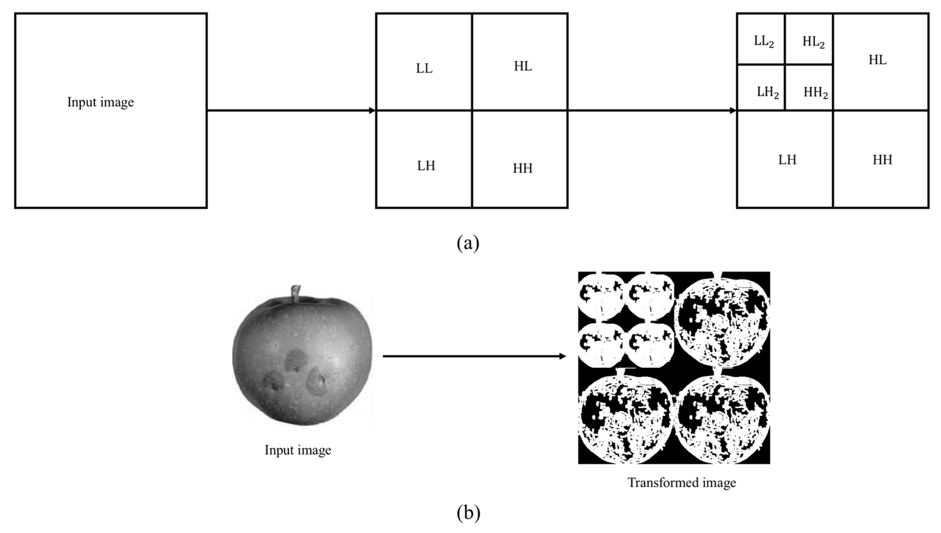 Symmetry 11 01194 g003