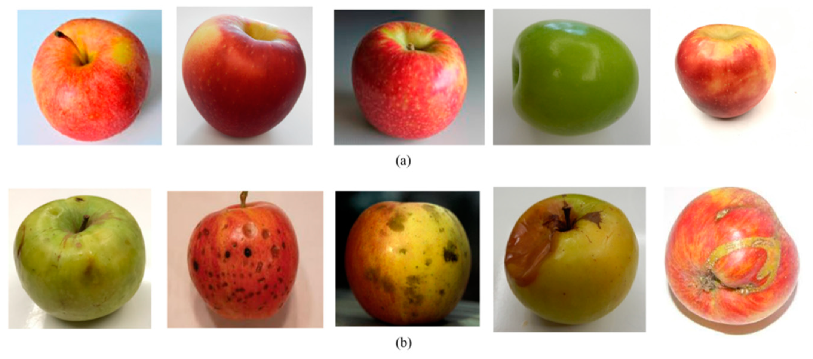 Symmetry 11 01194 g007