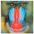 Symmetry 11 01227 i007 Symmetry 11 01227 i007