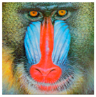 Symmetry 11 01227 i009 Symmetry 11 01227 i009