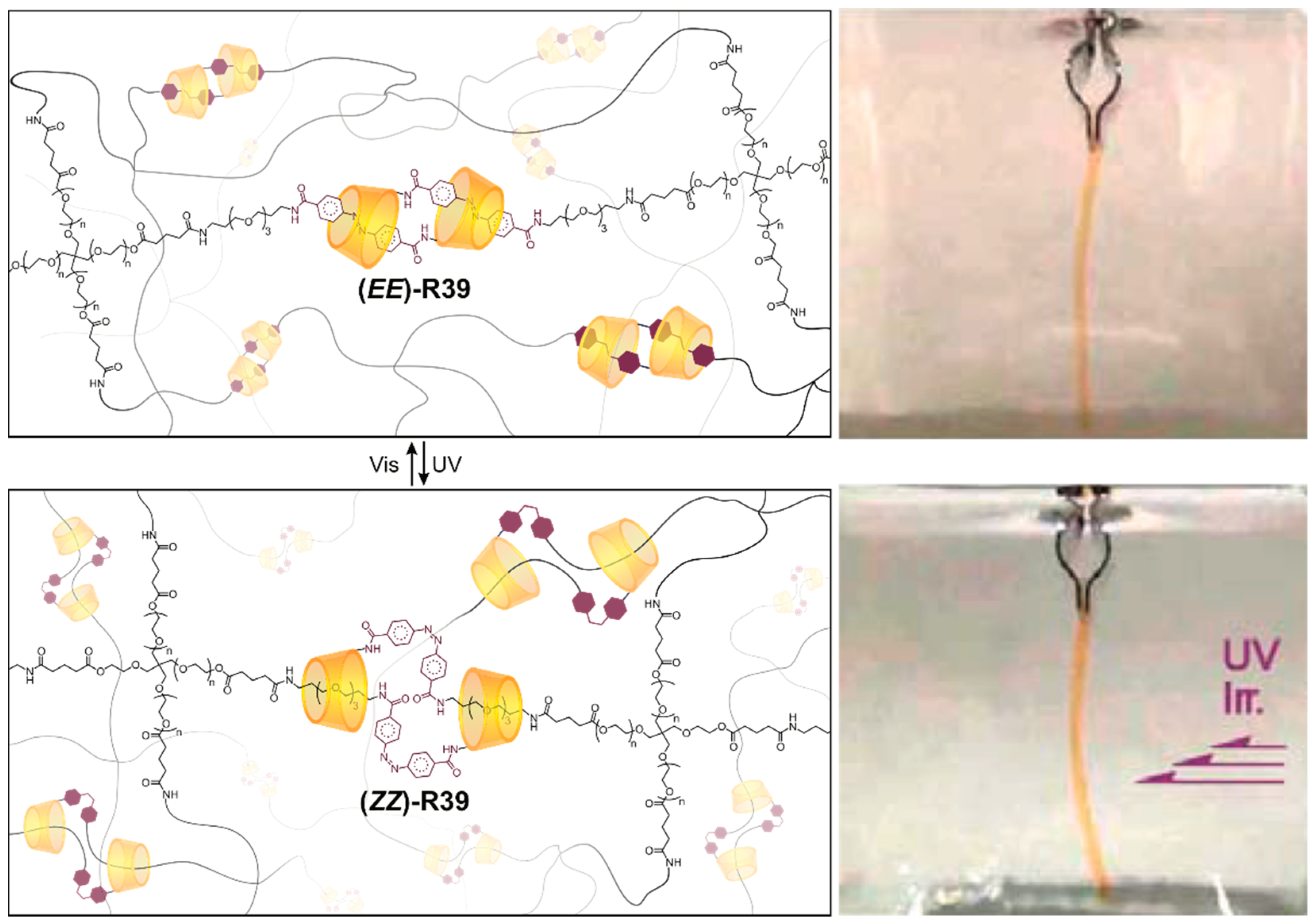 Symmetry 11 01249 g009