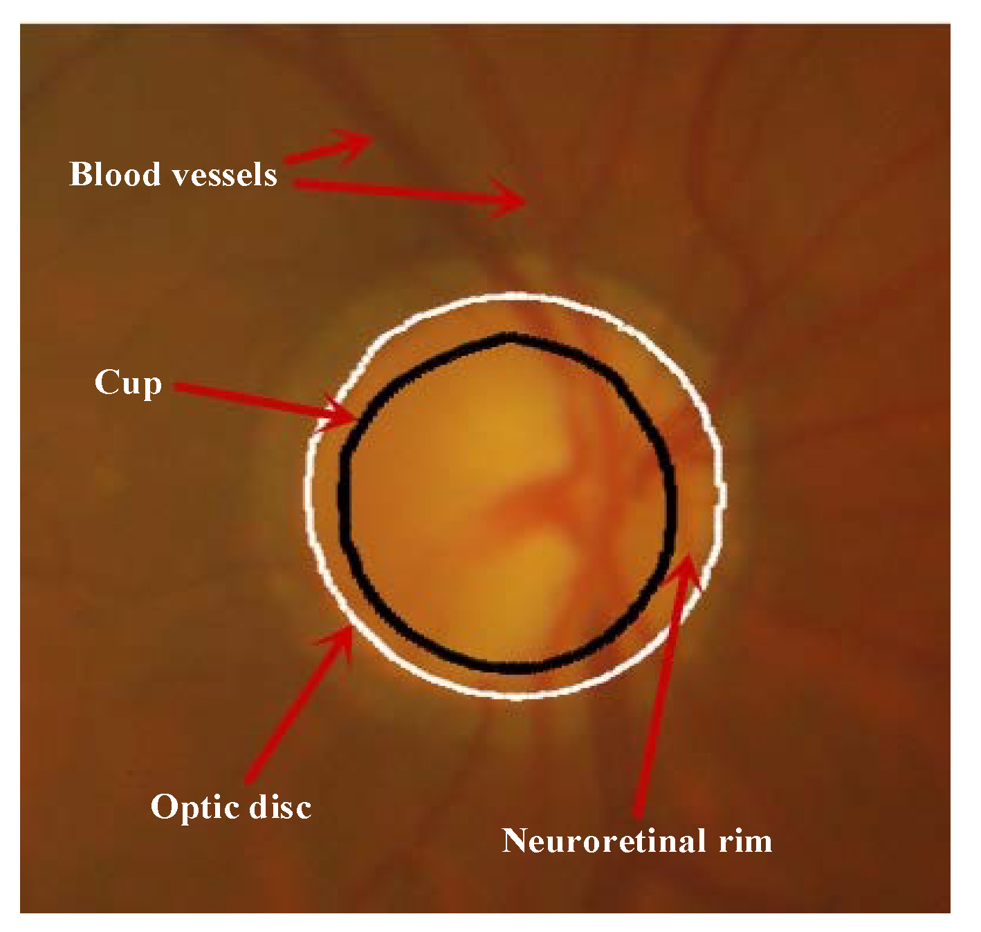 Symmetry 11 01267 g001
