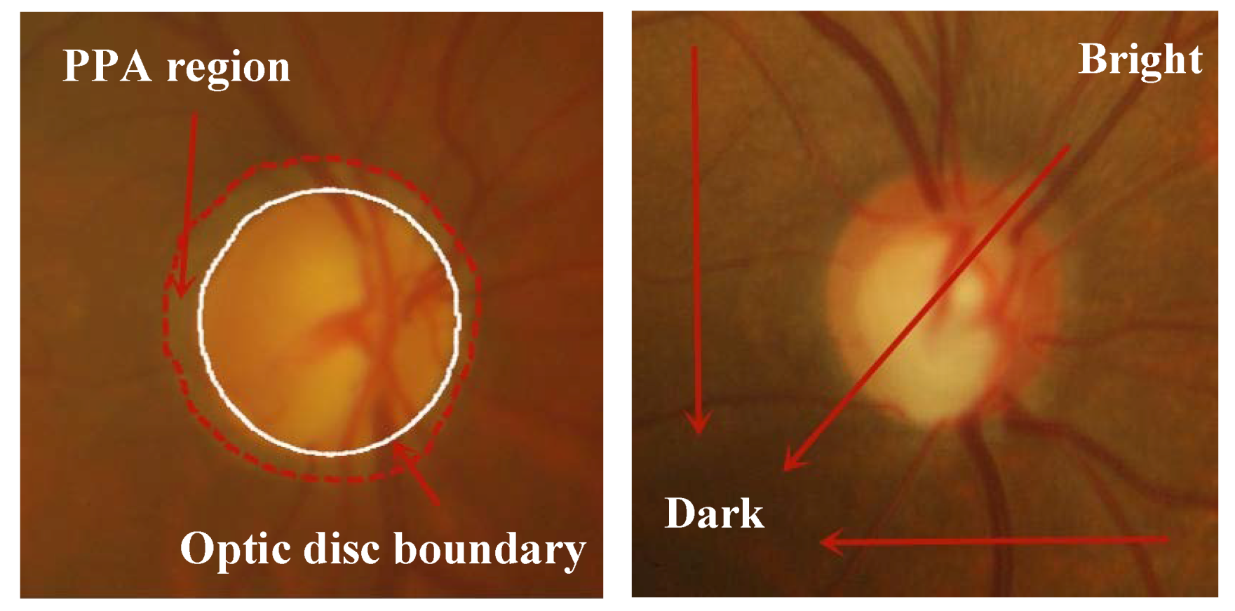 Symmetry 11 01267 g002