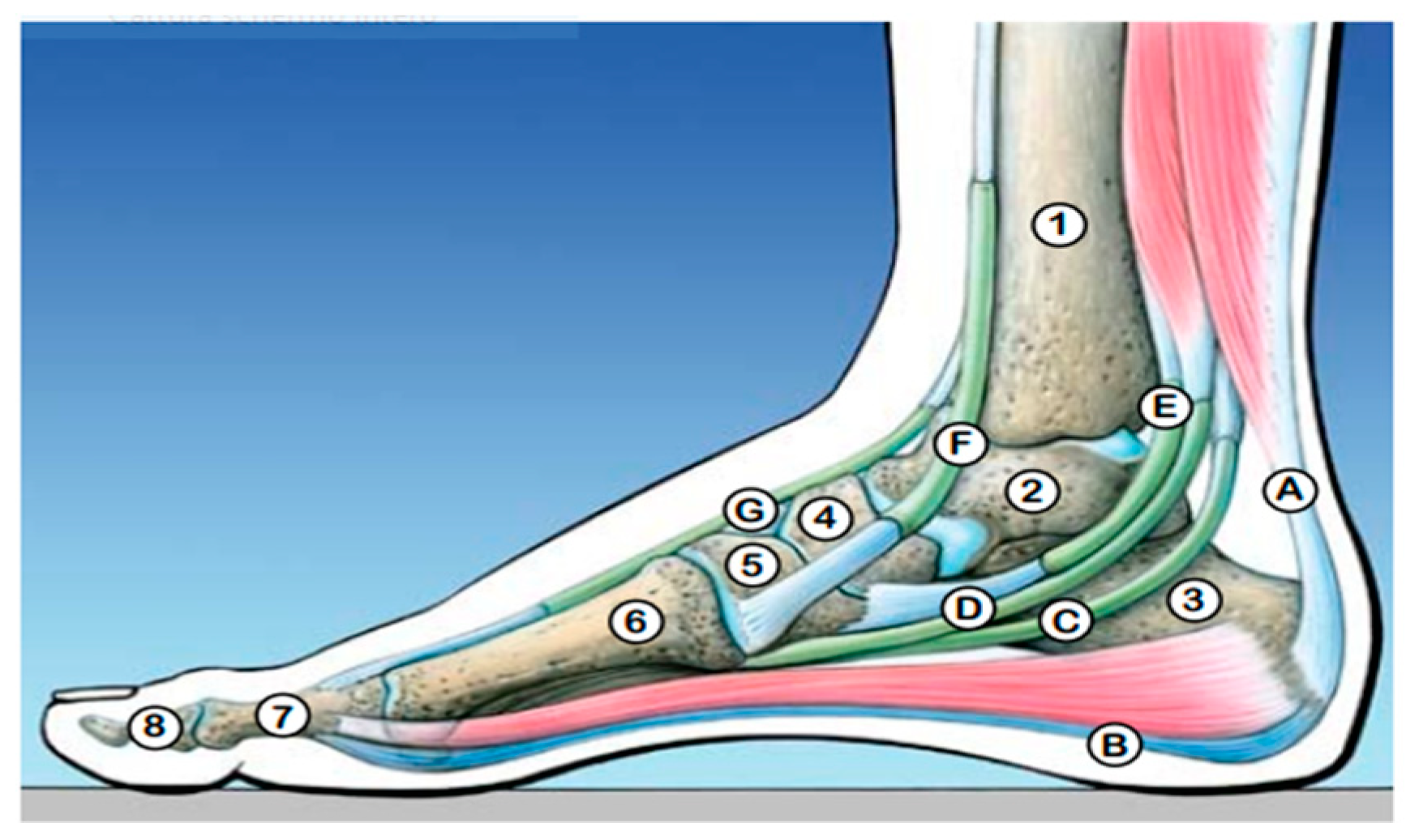 Symmetry 11 01317 g001