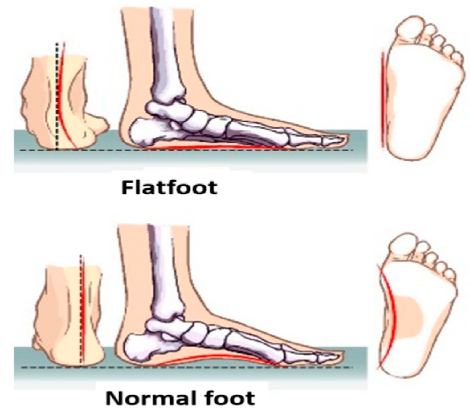 Symmetry 11 01317 g002