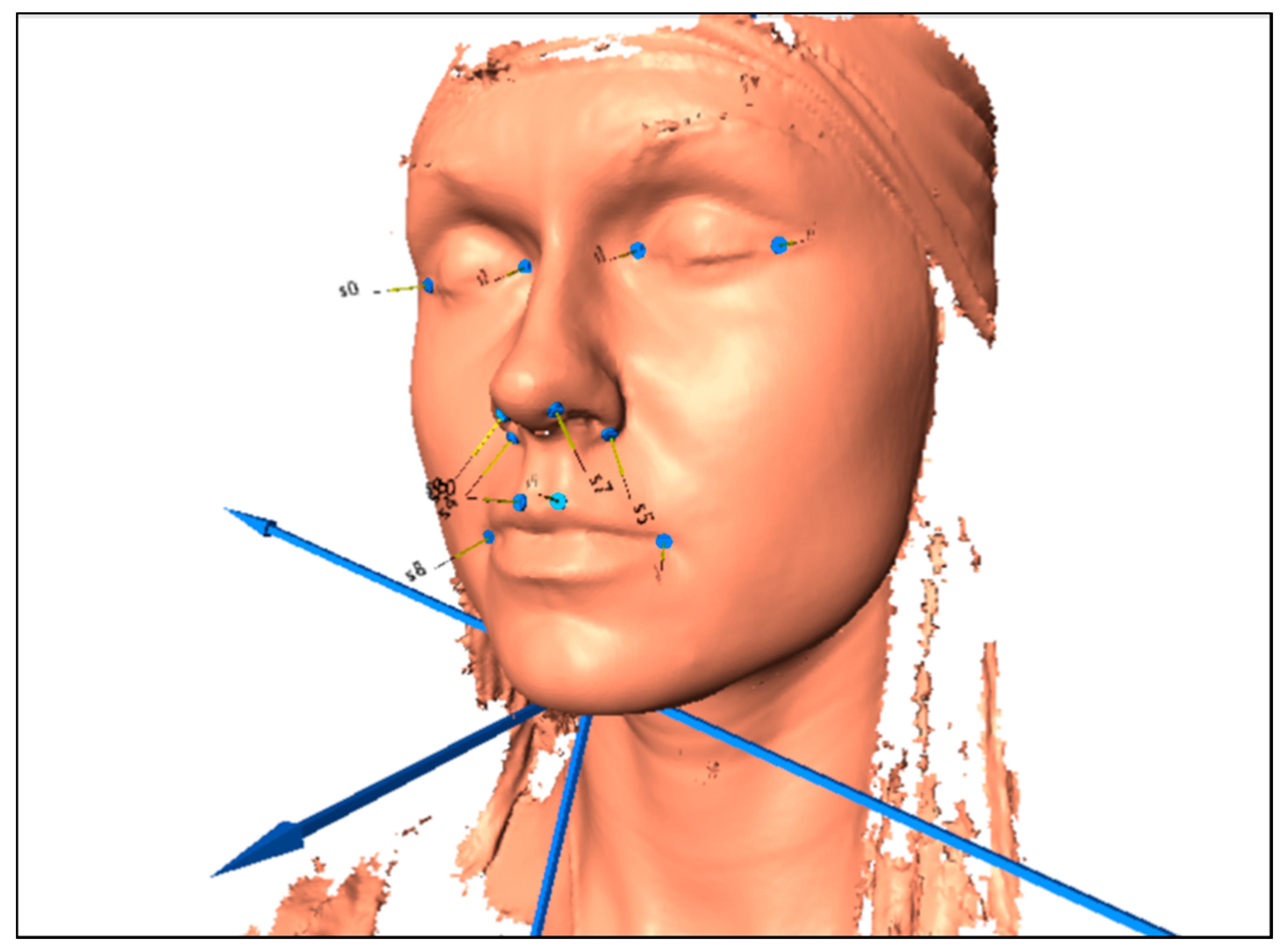 Symmetry 11 01364 g001