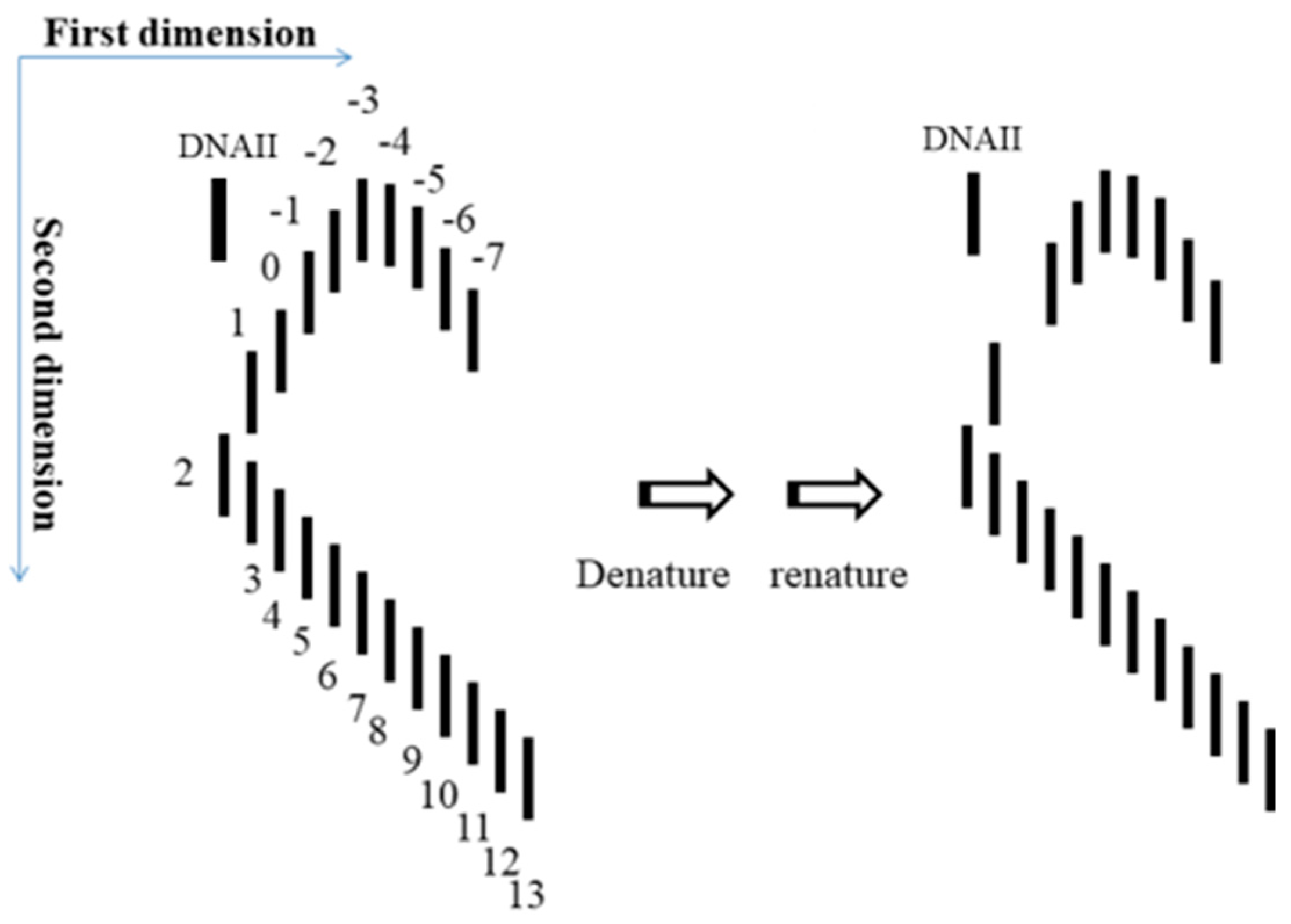 Symmetry 11 01445 g011 Symmetry 11 01445 g011