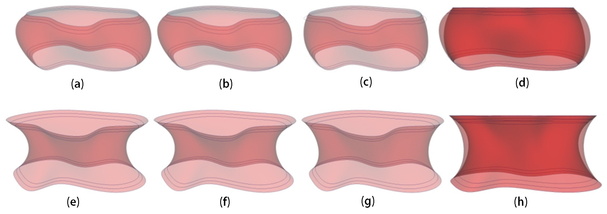 Symmetry 12 00038 g004