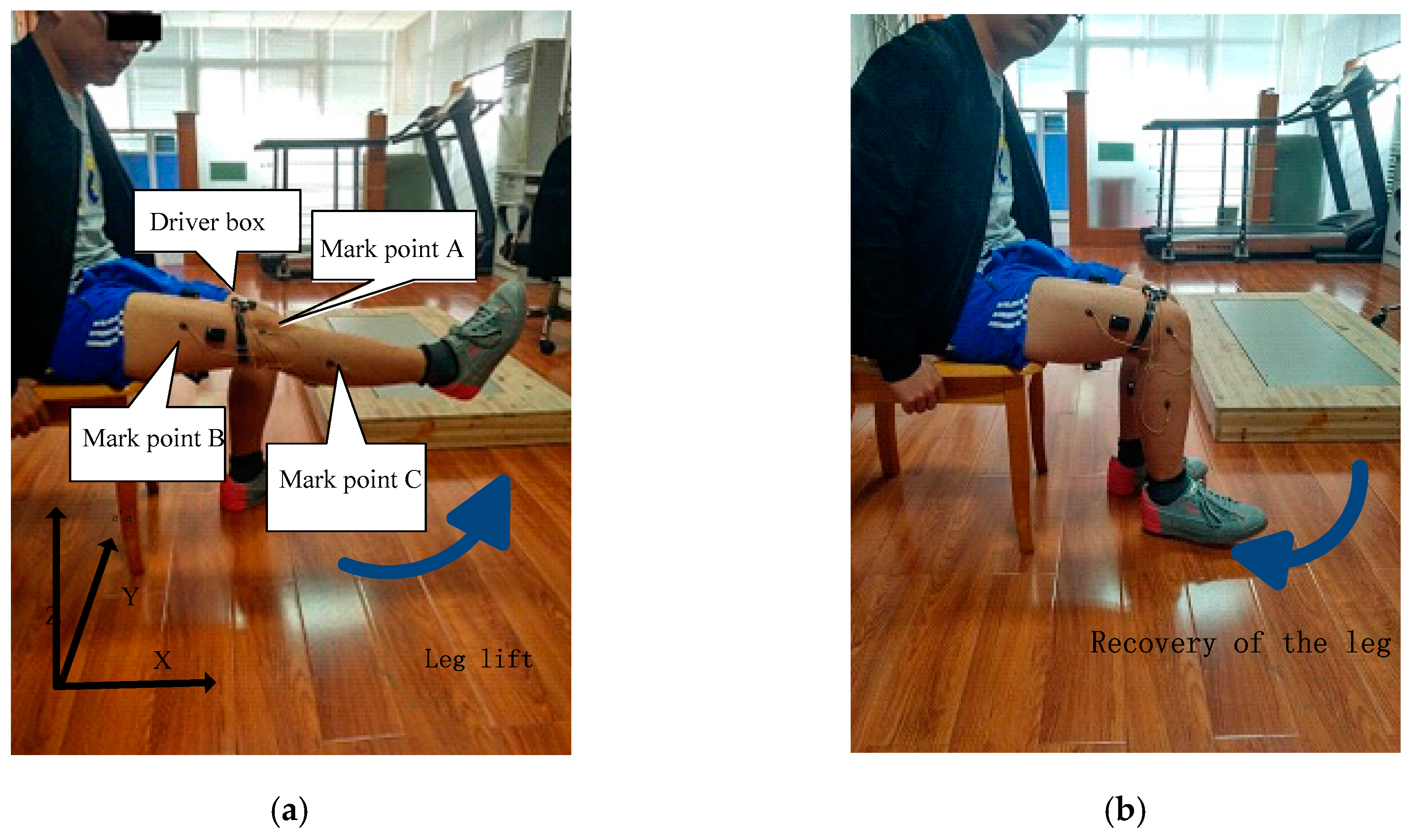 Symmetry 12 00130 g005