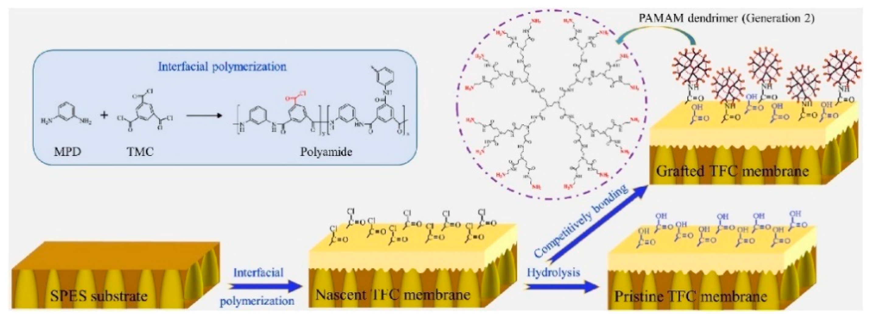 Symmetry 12 00239 g004 Symmetry 12 00239 g004