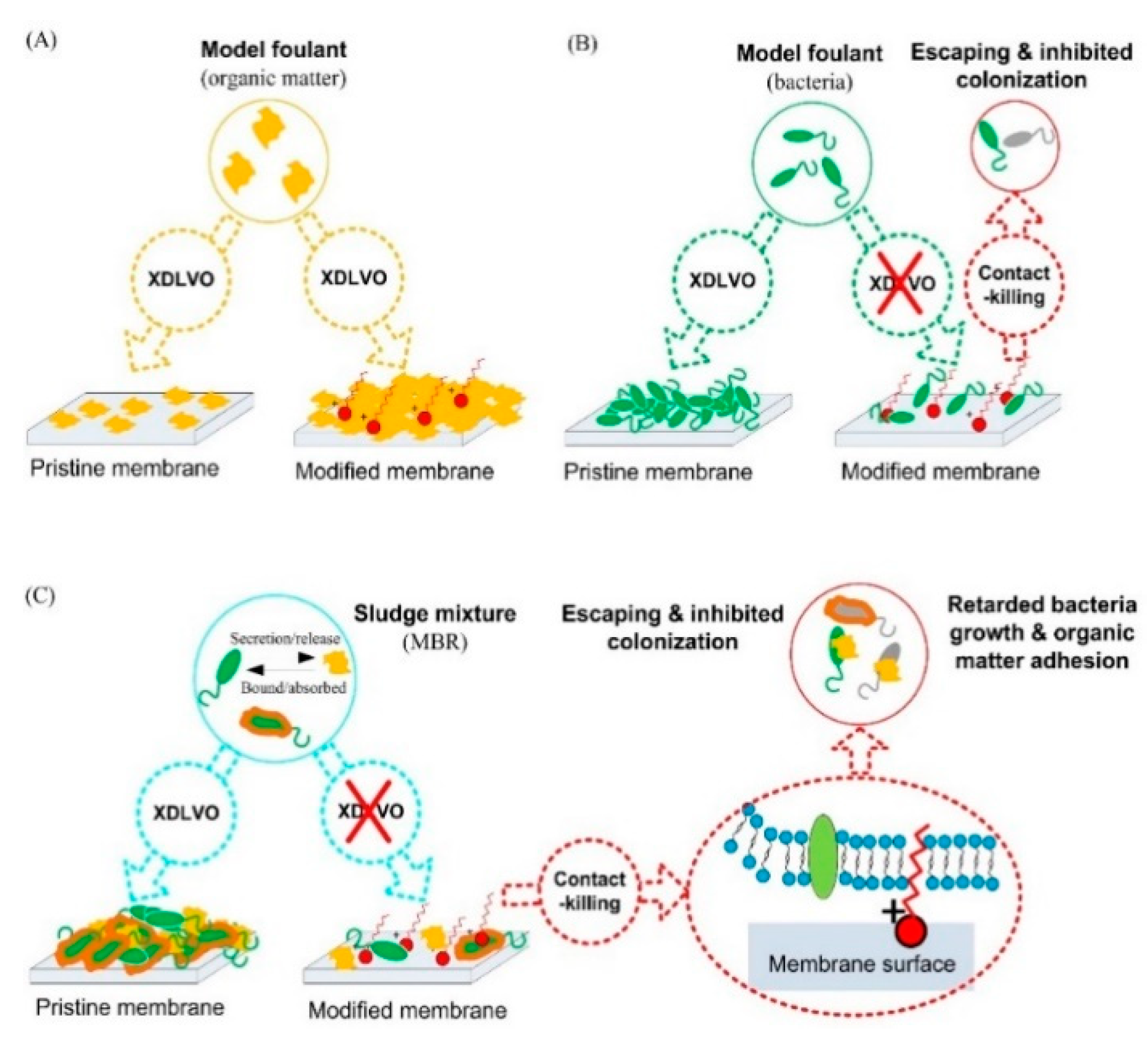 Symmetry 12 00239 g007 Symmetry 12 00239 g007