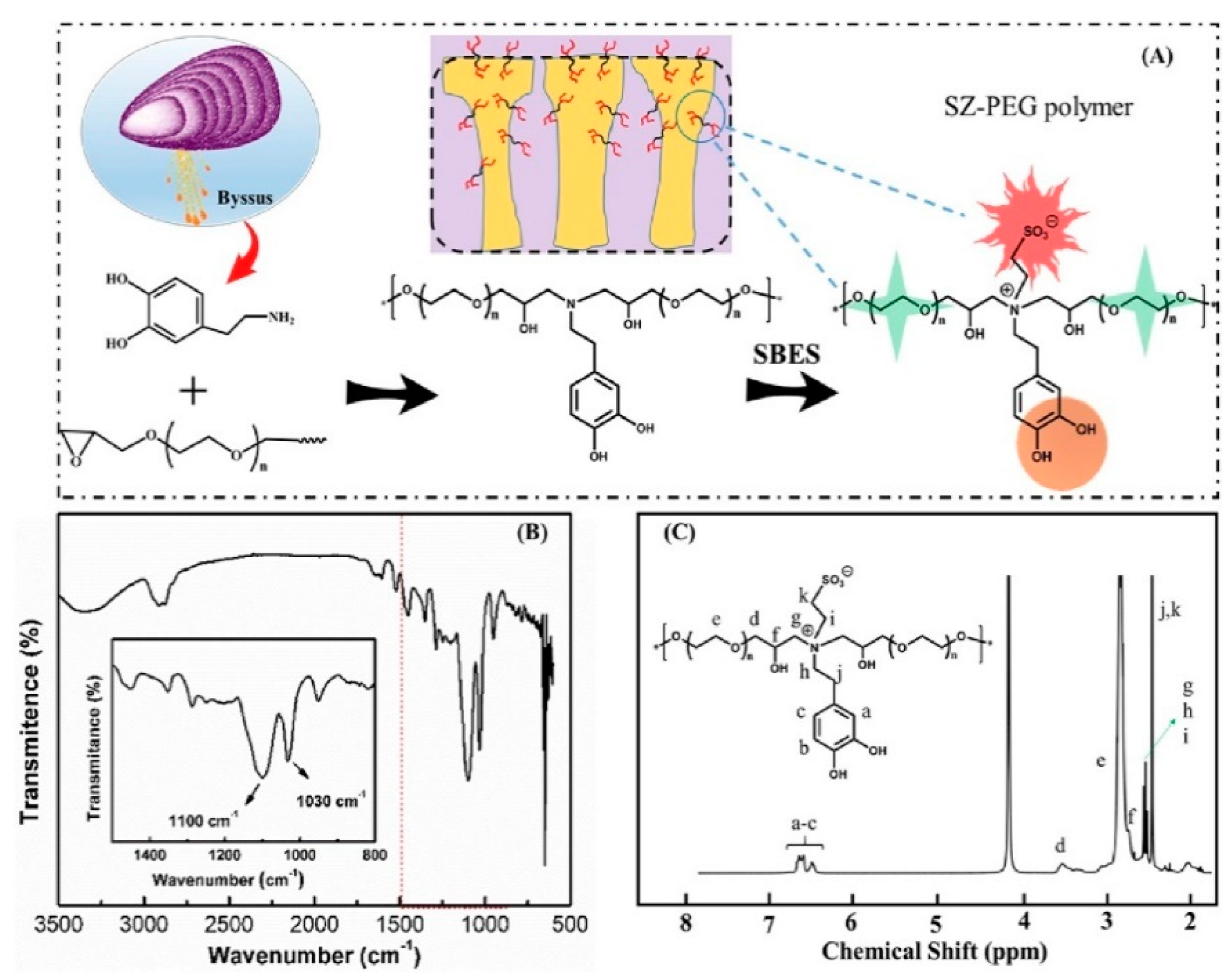 Symmetry 12 00239 g009 Symmetry 12 00239 g009