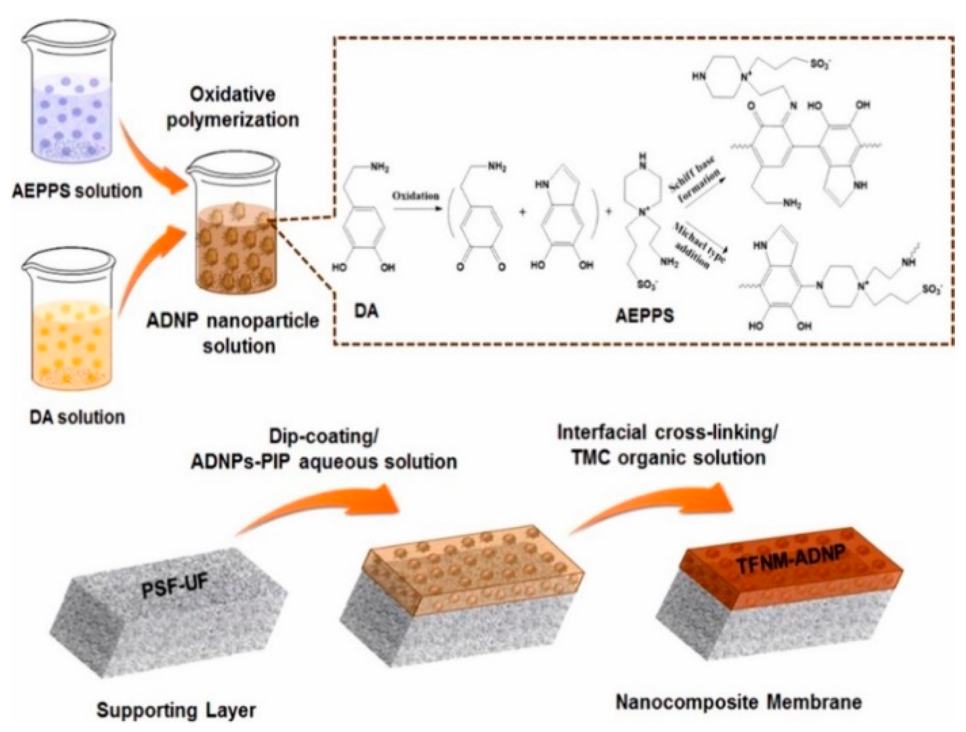 Symmetry 12 00239 g010 Symmetry 12 00239 g010