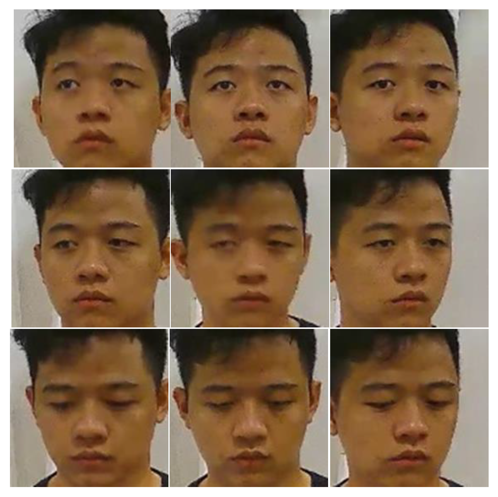 Symmetry 12 00307 g007