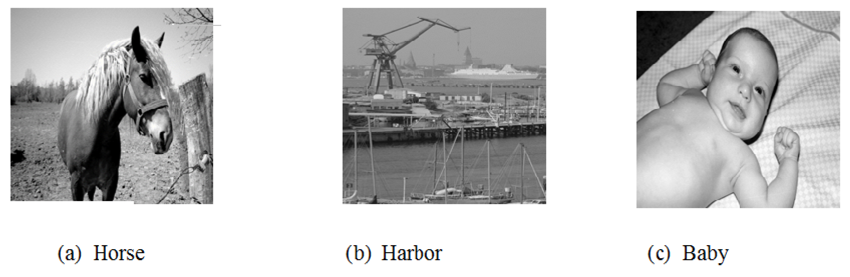 Symmetry 12 00316 g001