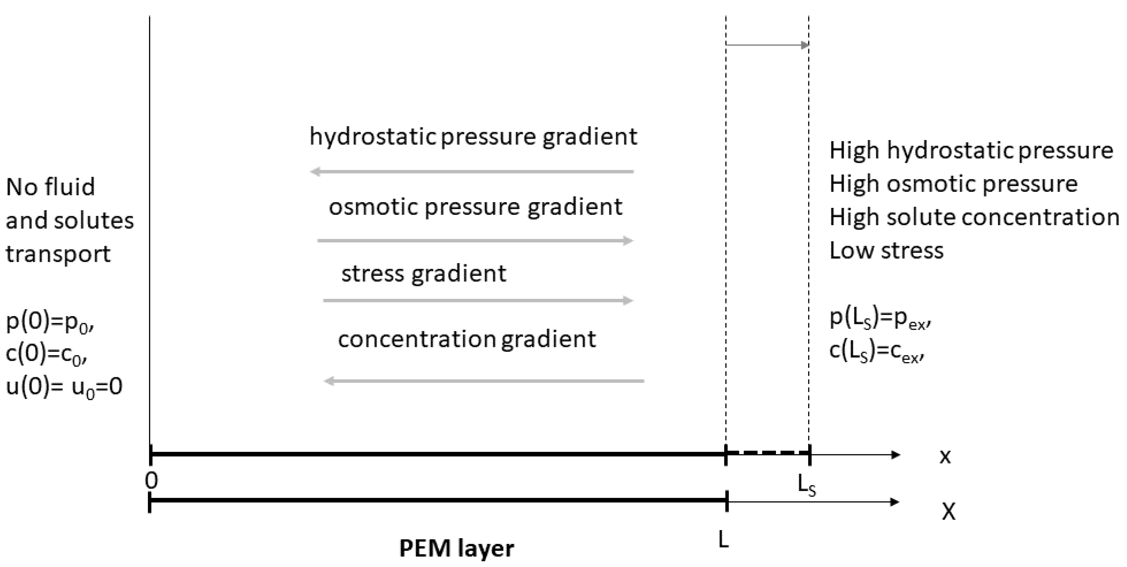 Symmetry 12 00396 g001 Symmetry 12 00396 g001