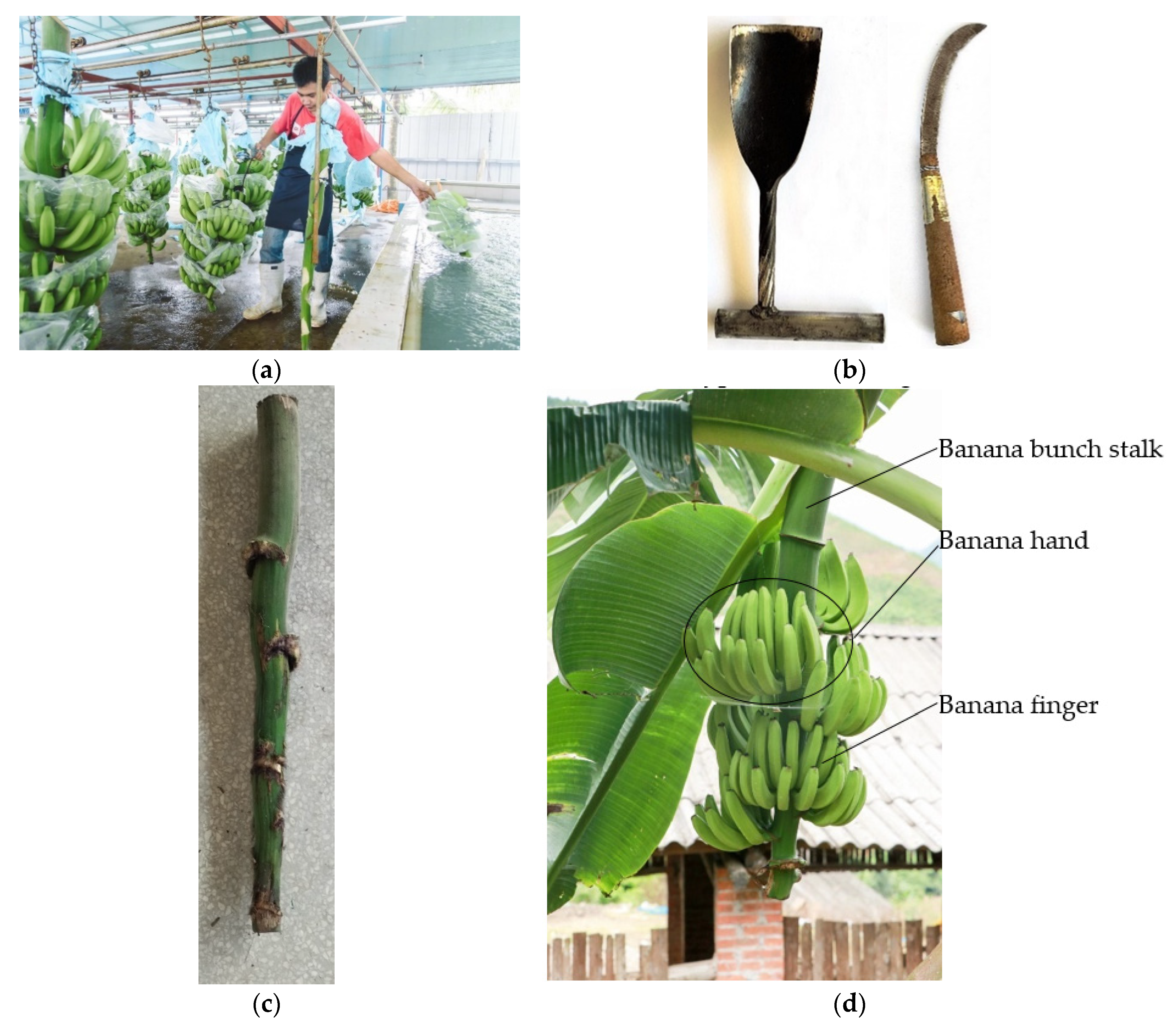 Symmetry 12 00415 g001