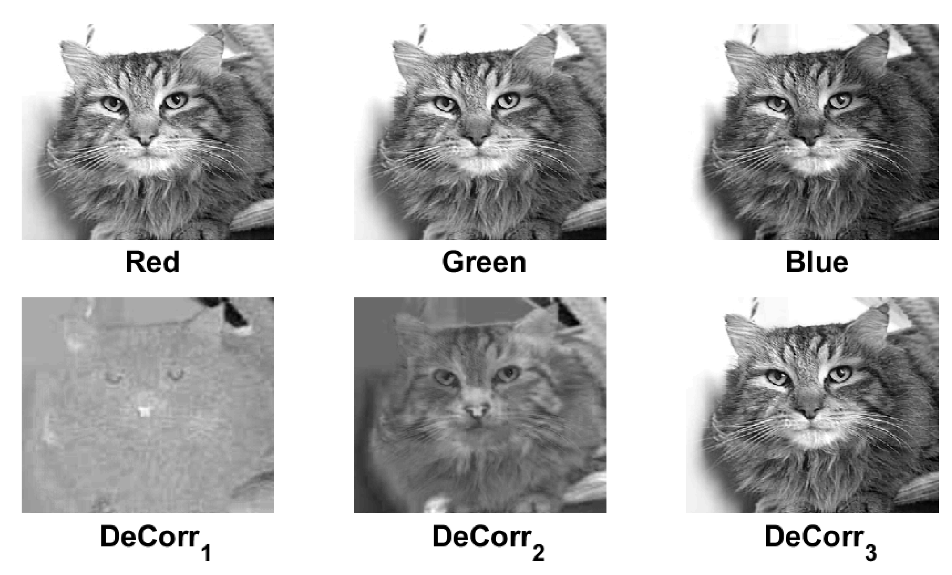 Symmetry 12 00548 g003