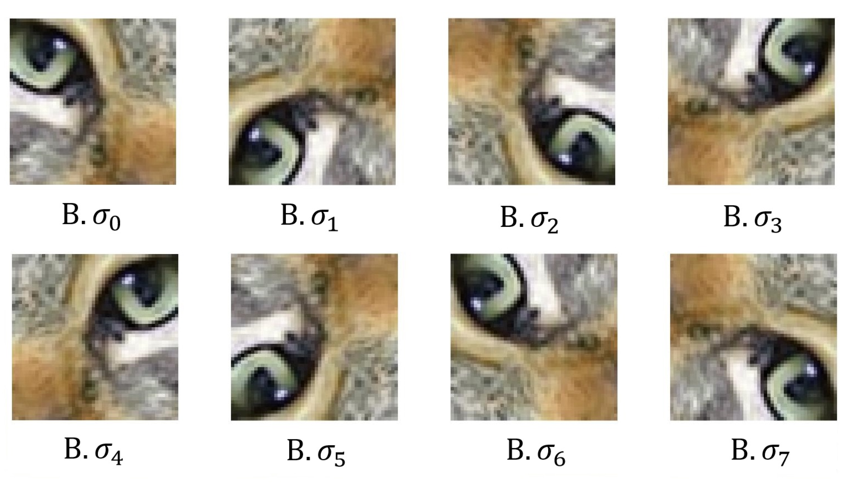 Symmetry 12 00548 g005