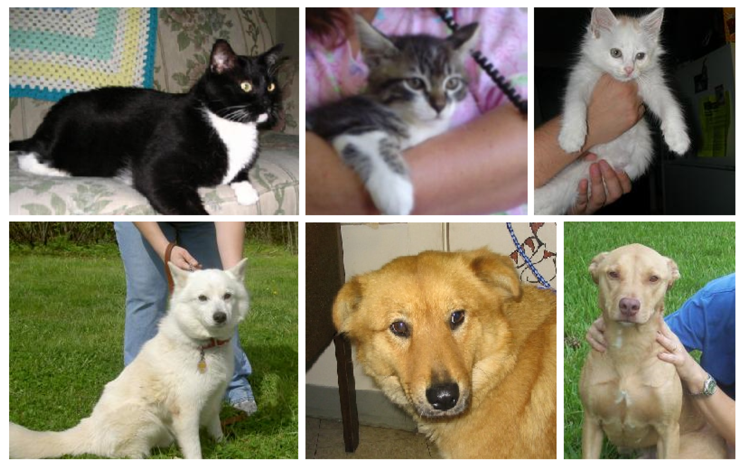 Symmetry 12 00548 g009