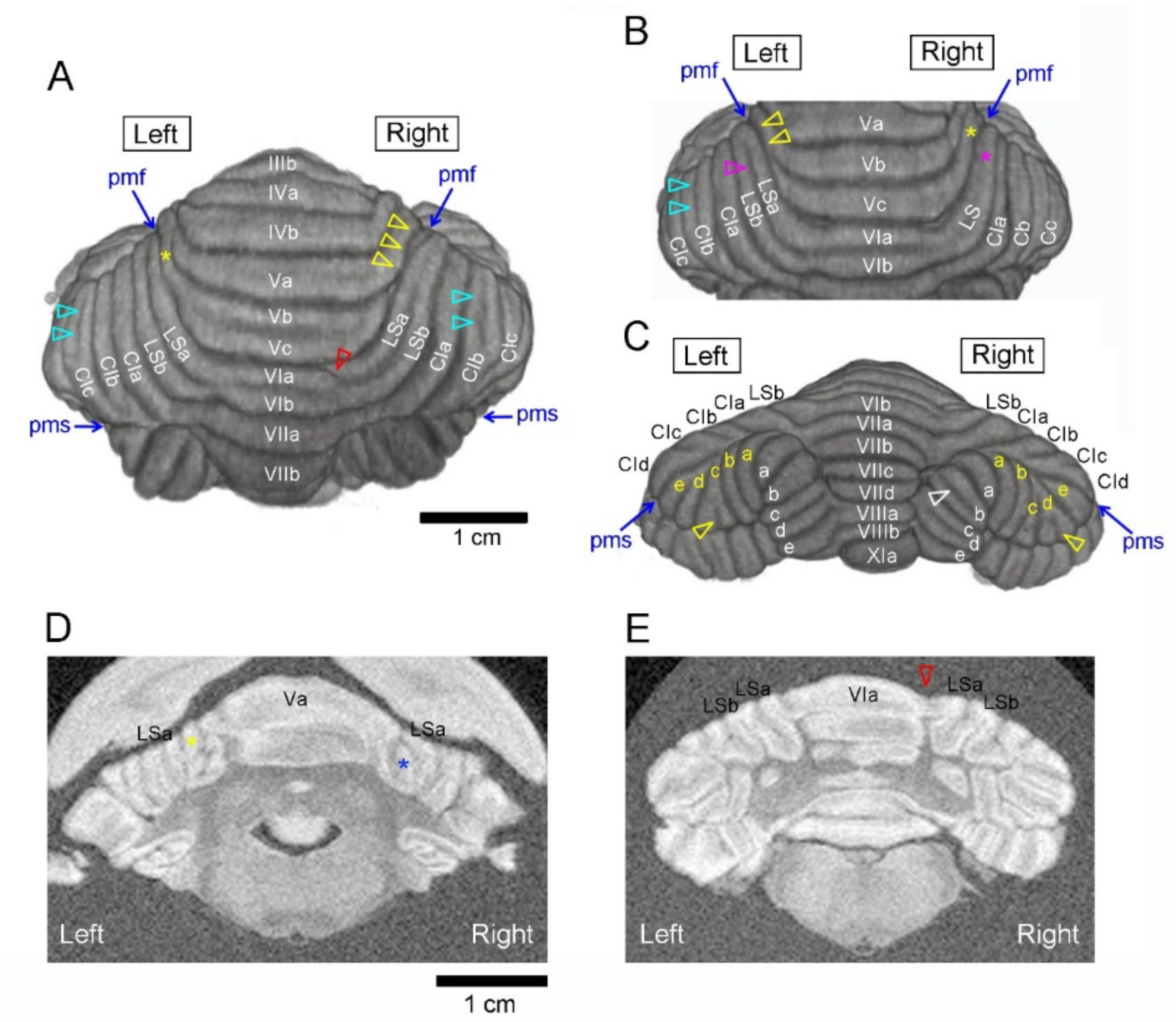 Symmetry 12 00735 g001