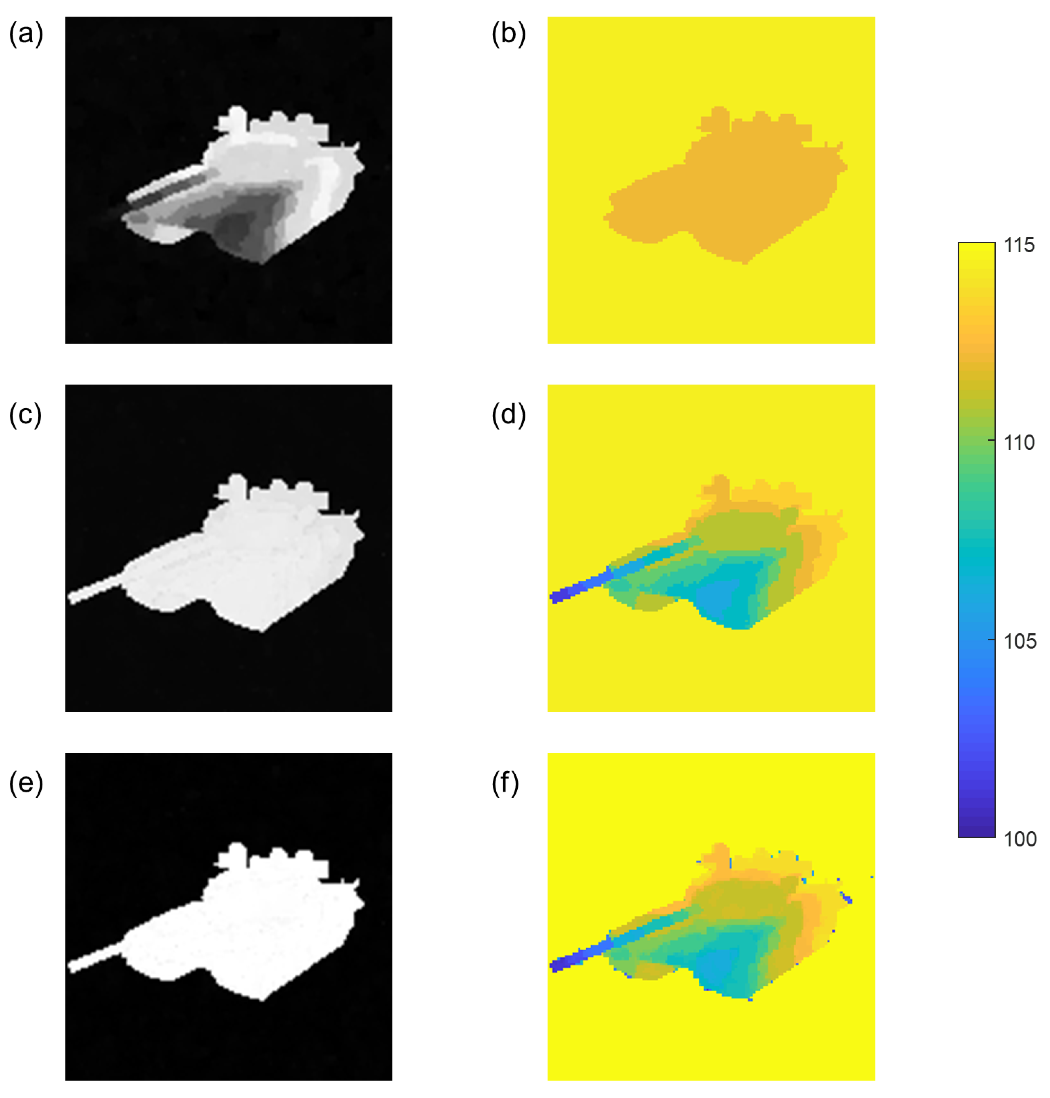 Symmetry 12 00748 g008