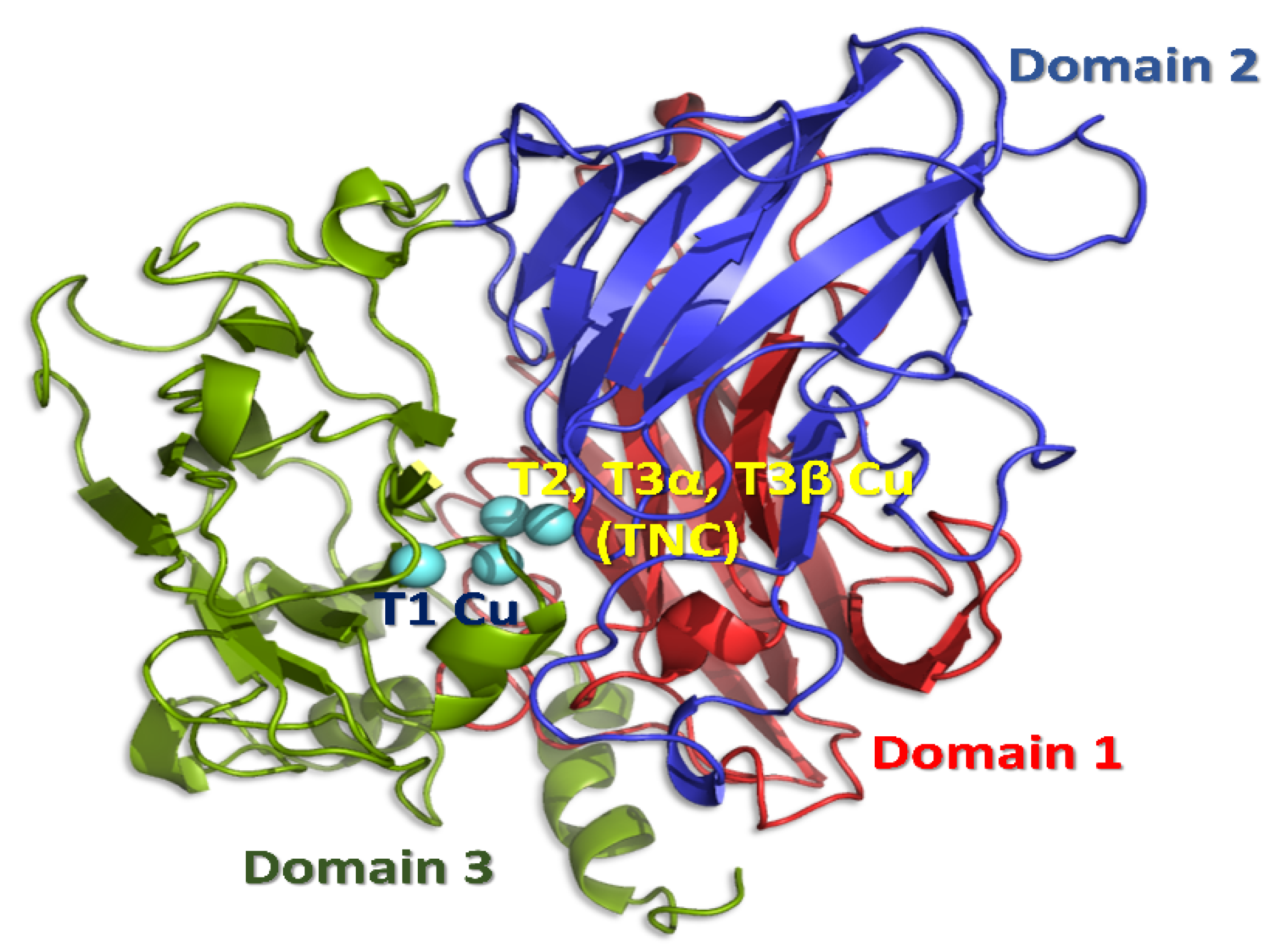 Symmetry 12 00797 g001