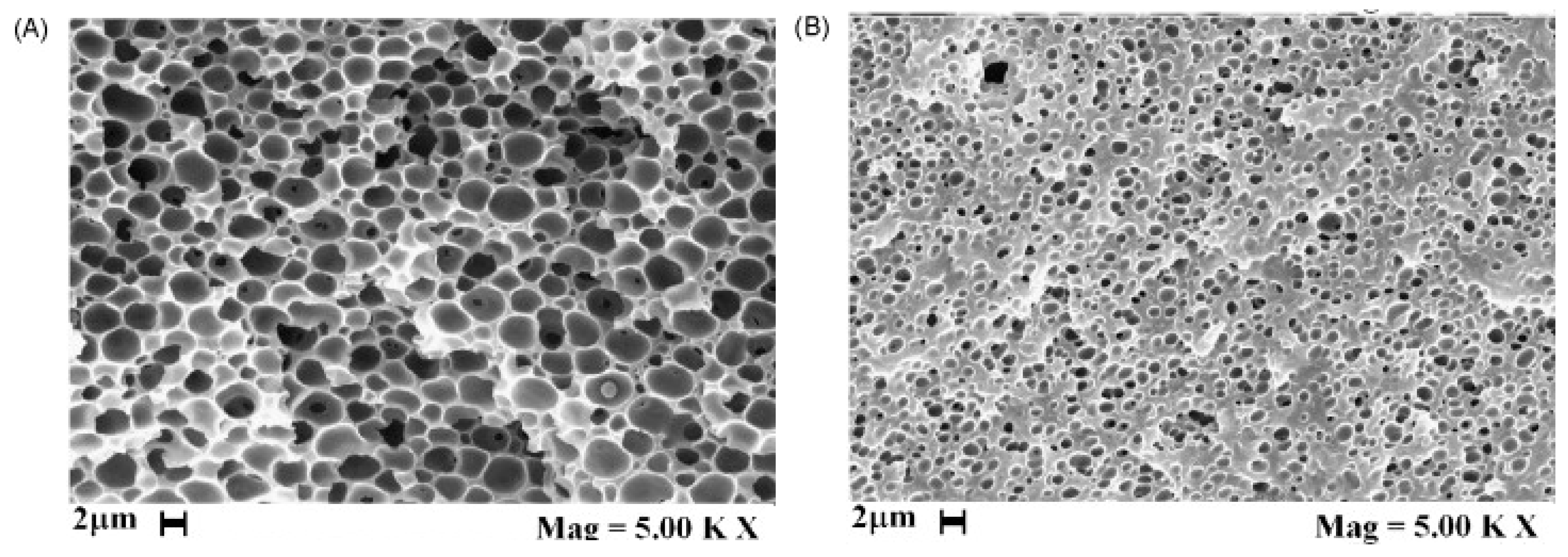Symmetry 12 00960 g016 Symmetry 12 00960 g016