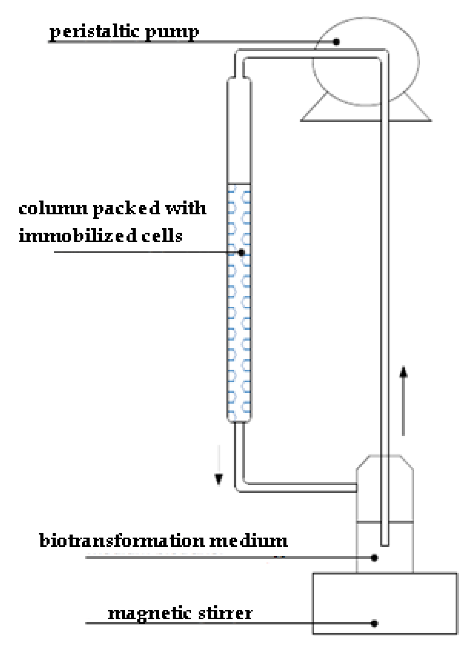 Symmetry 12 00989 g002