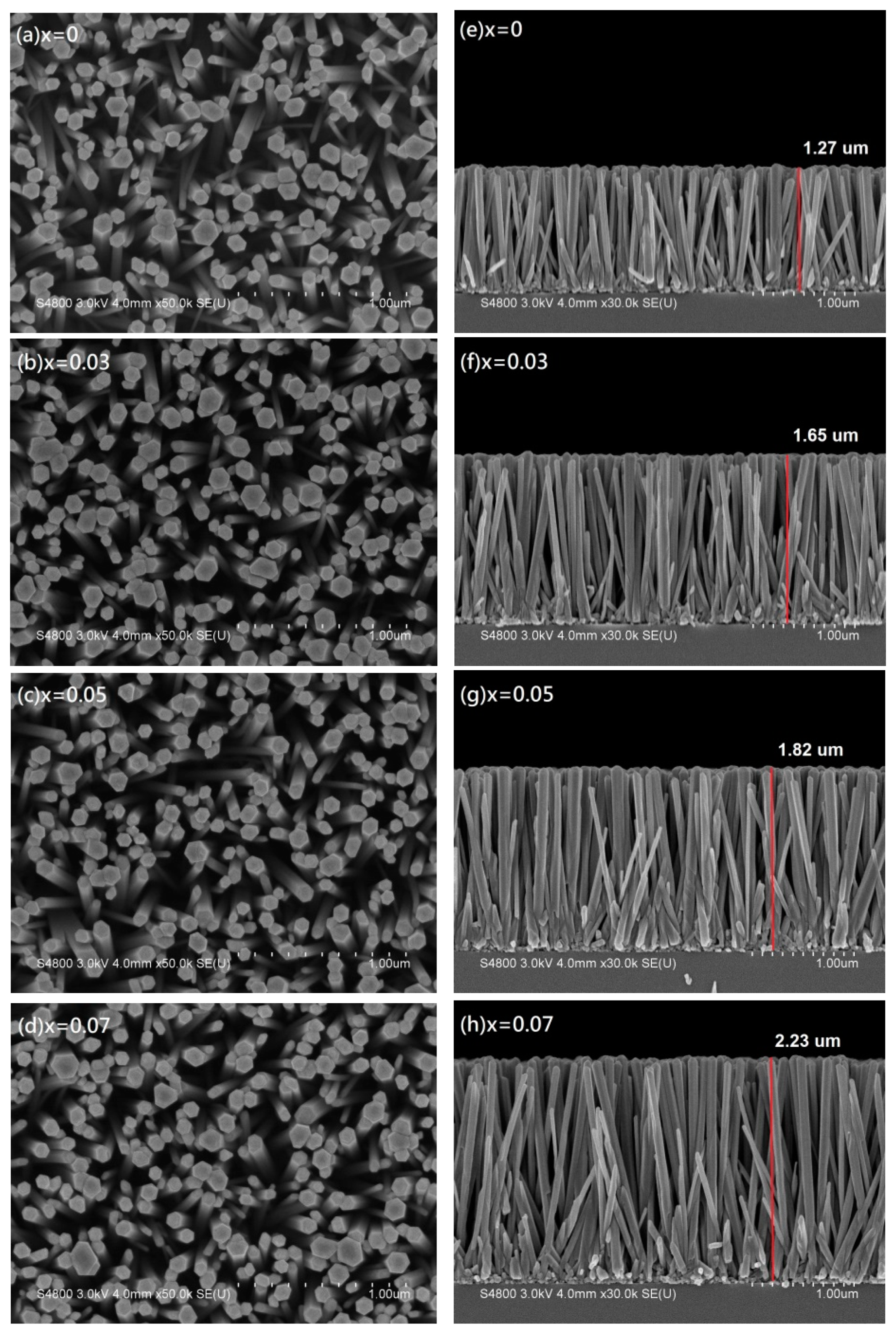 Symmetry 12 01005 g006