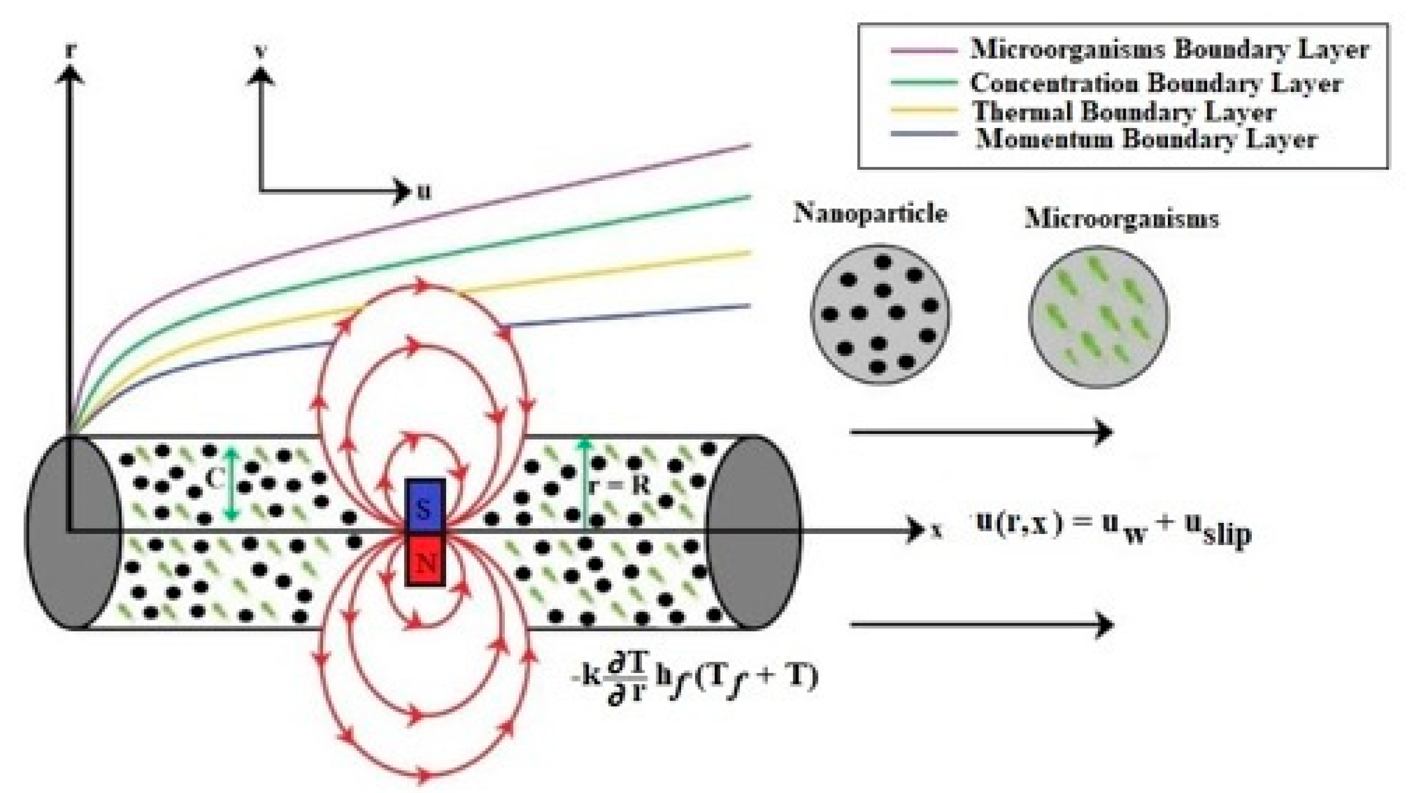 Symmetry 12 01019 g001