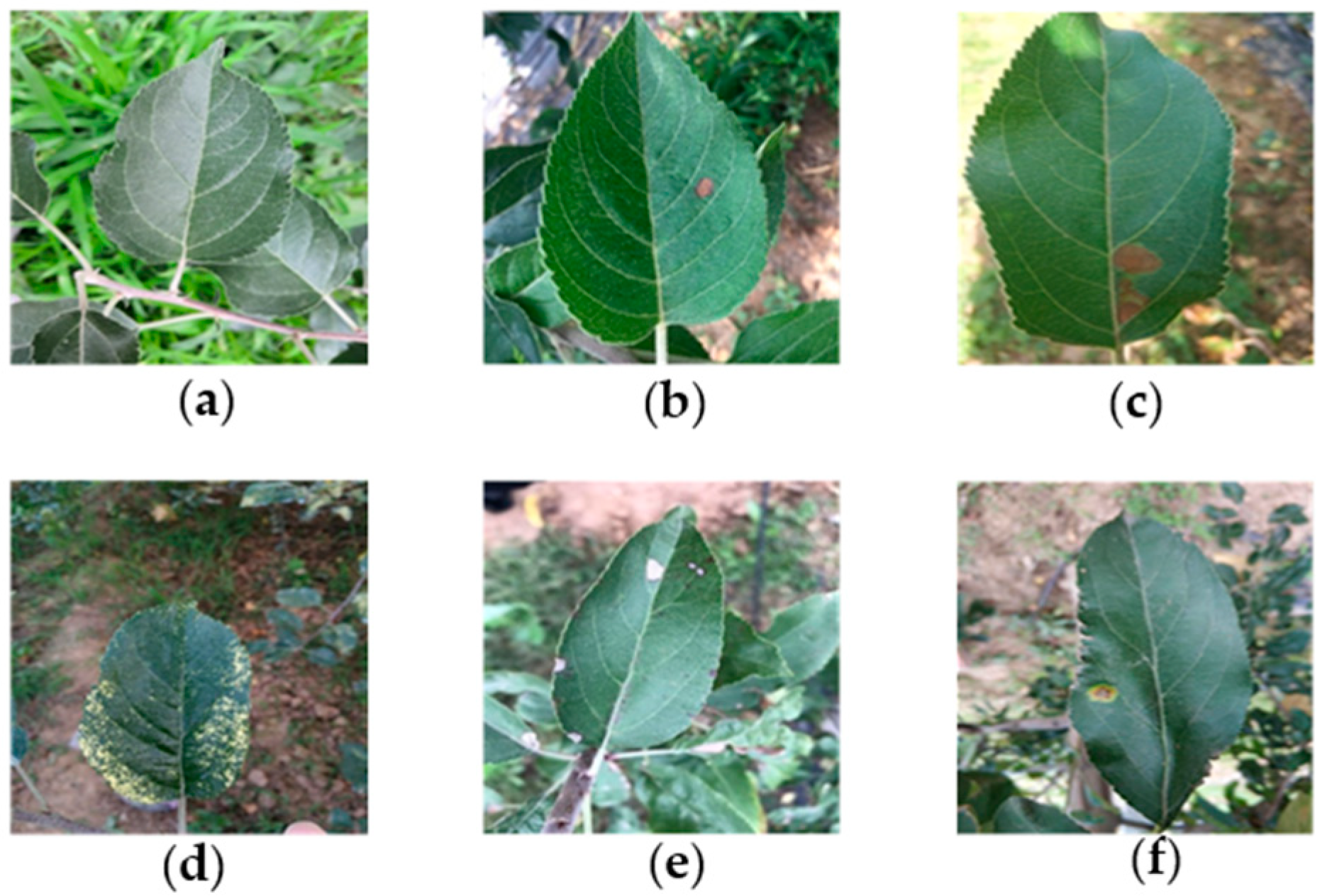 Symmetry 12 01065 g001 Symmetry 12 01065 g001