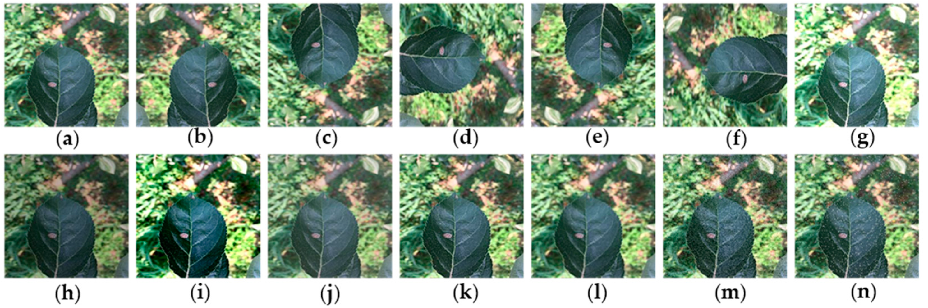 Symmetry 12 01065 g002 Symmetry 12 01065 g002