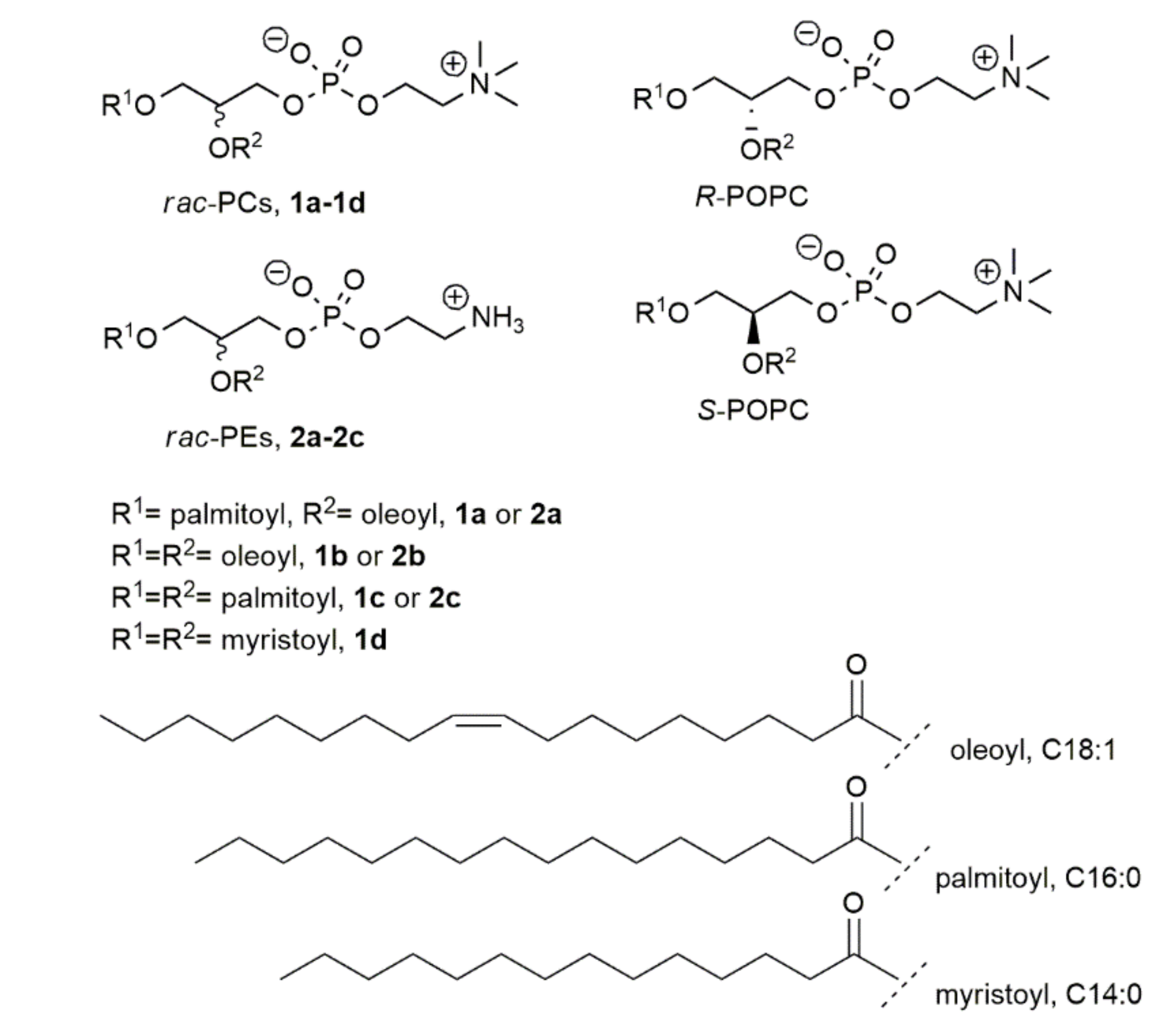 Symmetry 12 01108 g001