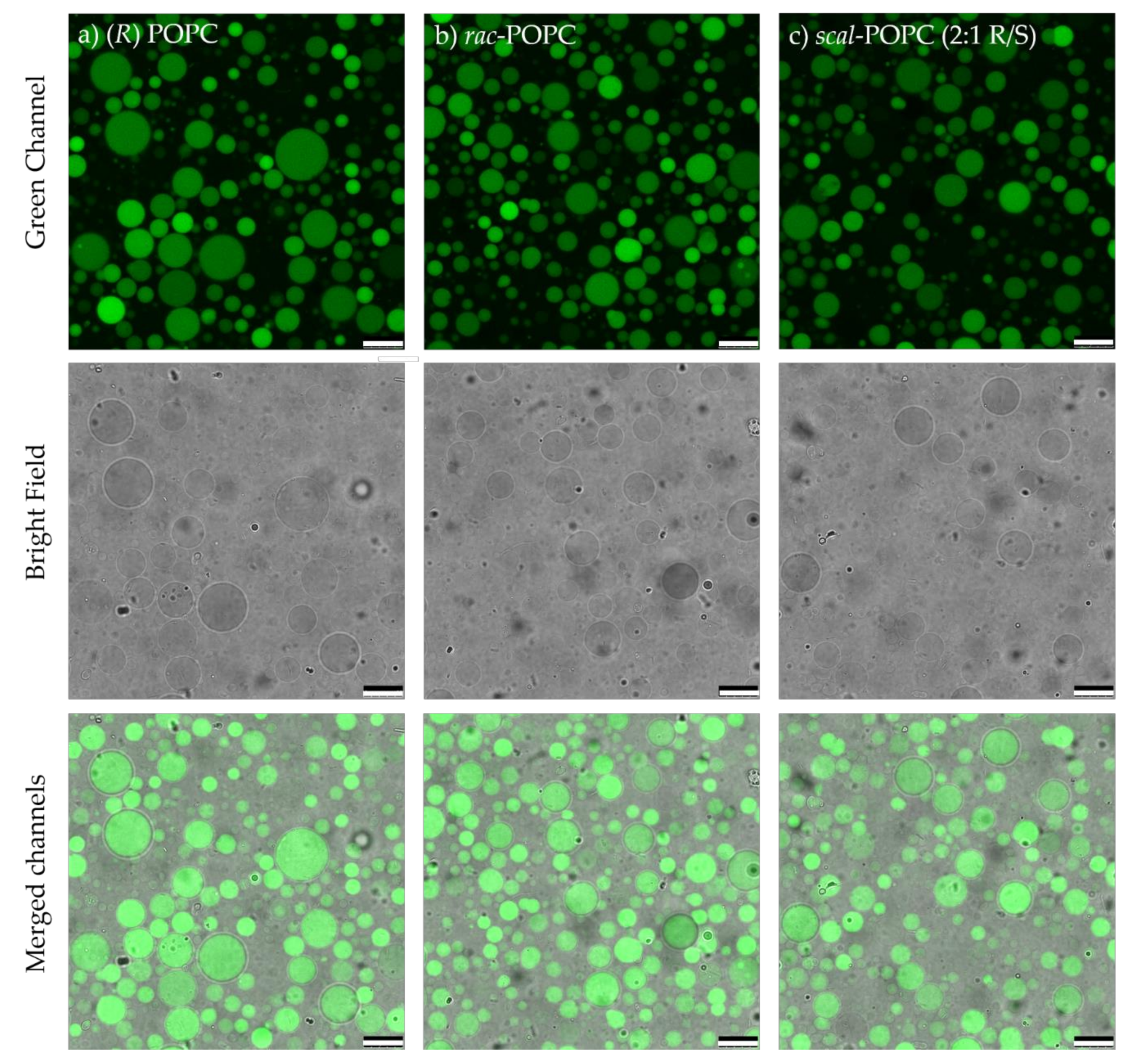 Symmetry 12 01108 g002