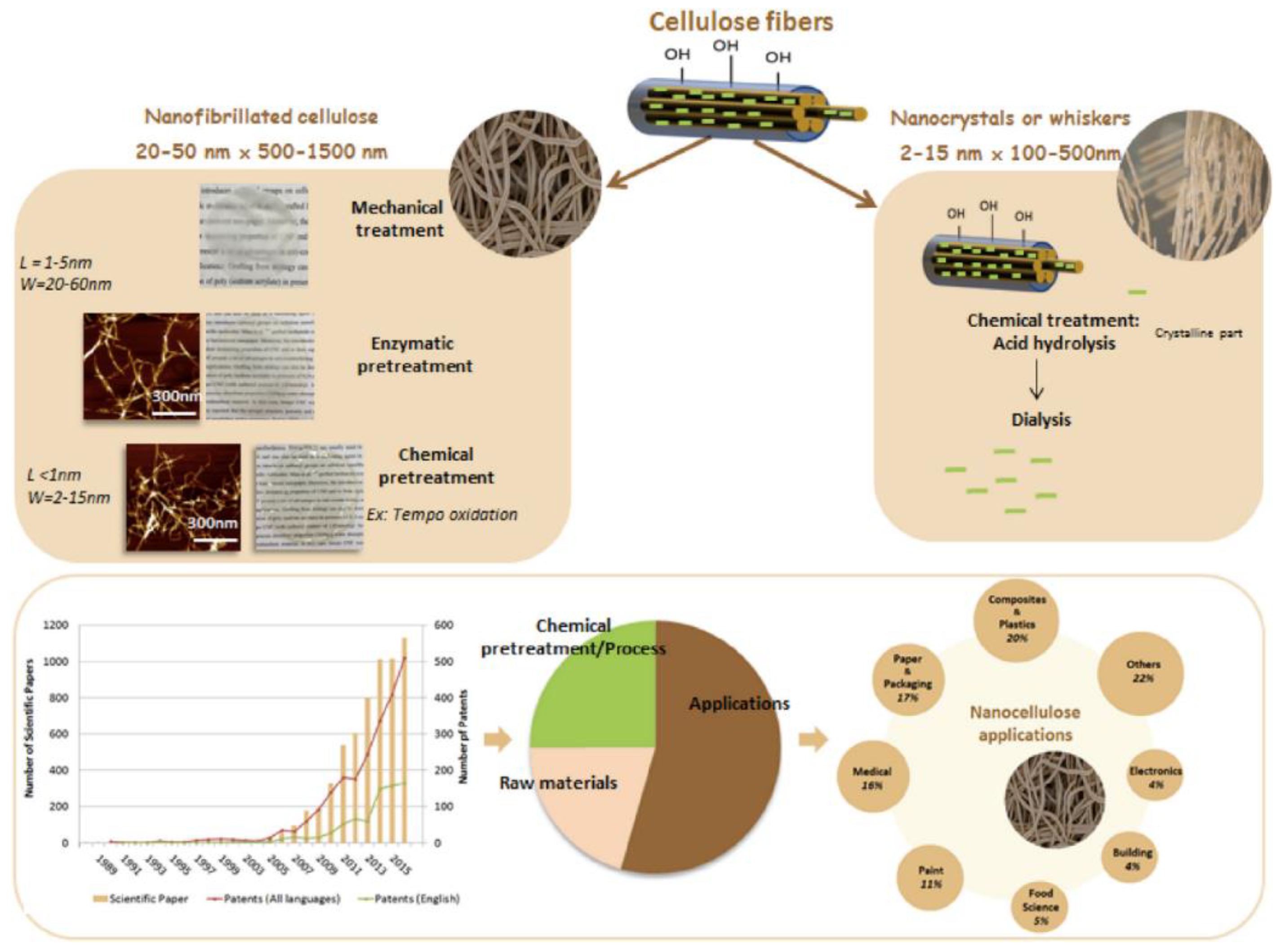Symmetry 12 01160 g001