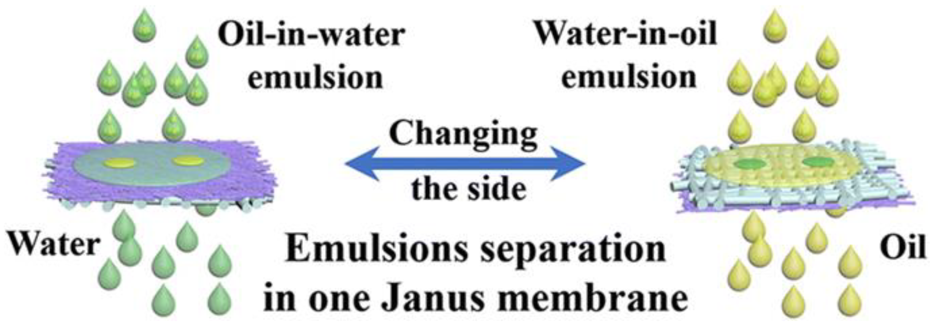 Symmetry 12 01160 g003