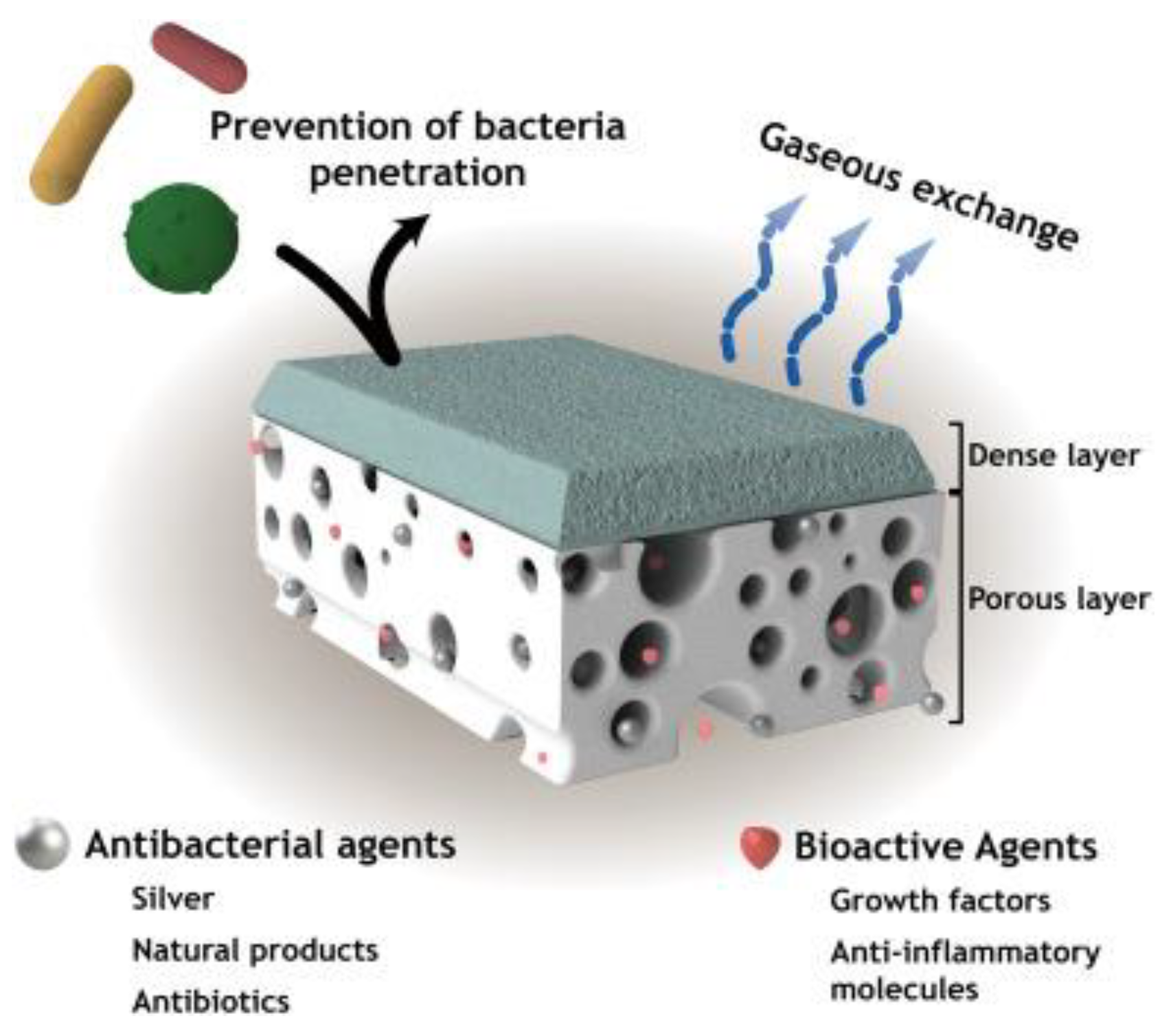 Symmetry 12 01160 g004